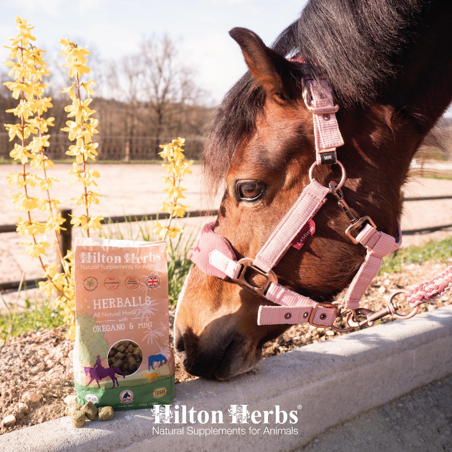 Hilton Herbs Herballs 2kg, 2 kg (Pack of 1) - Image 4