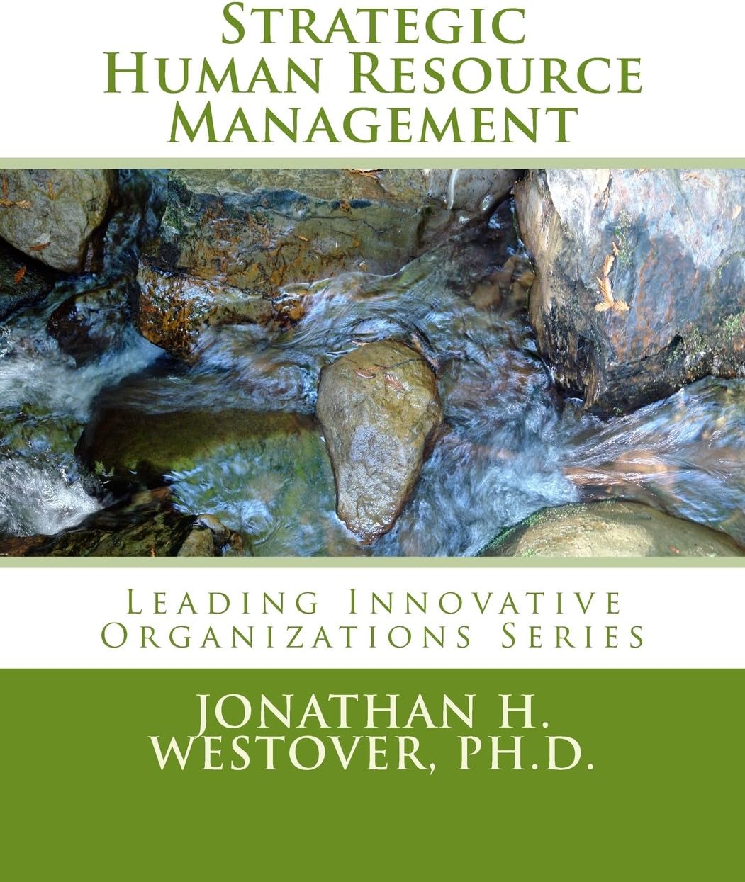 Strategic Human Resource Management (Leading Innovative Organizations)