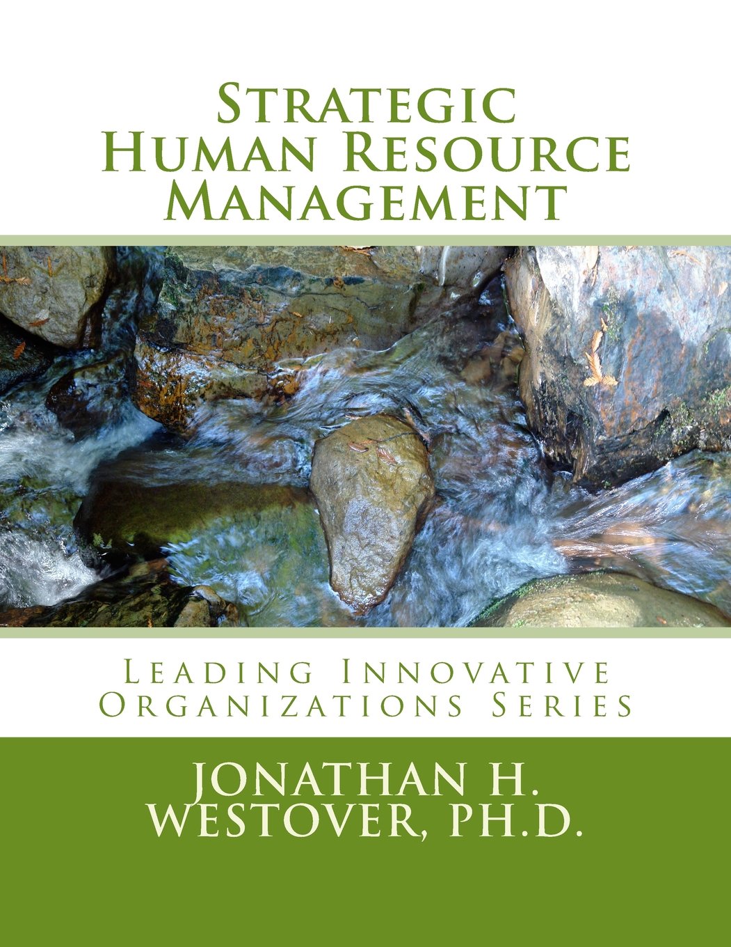 洋書 Strategic Human Resources Strategic Human Resource Management: Tang, Guiyao, Wei, Li