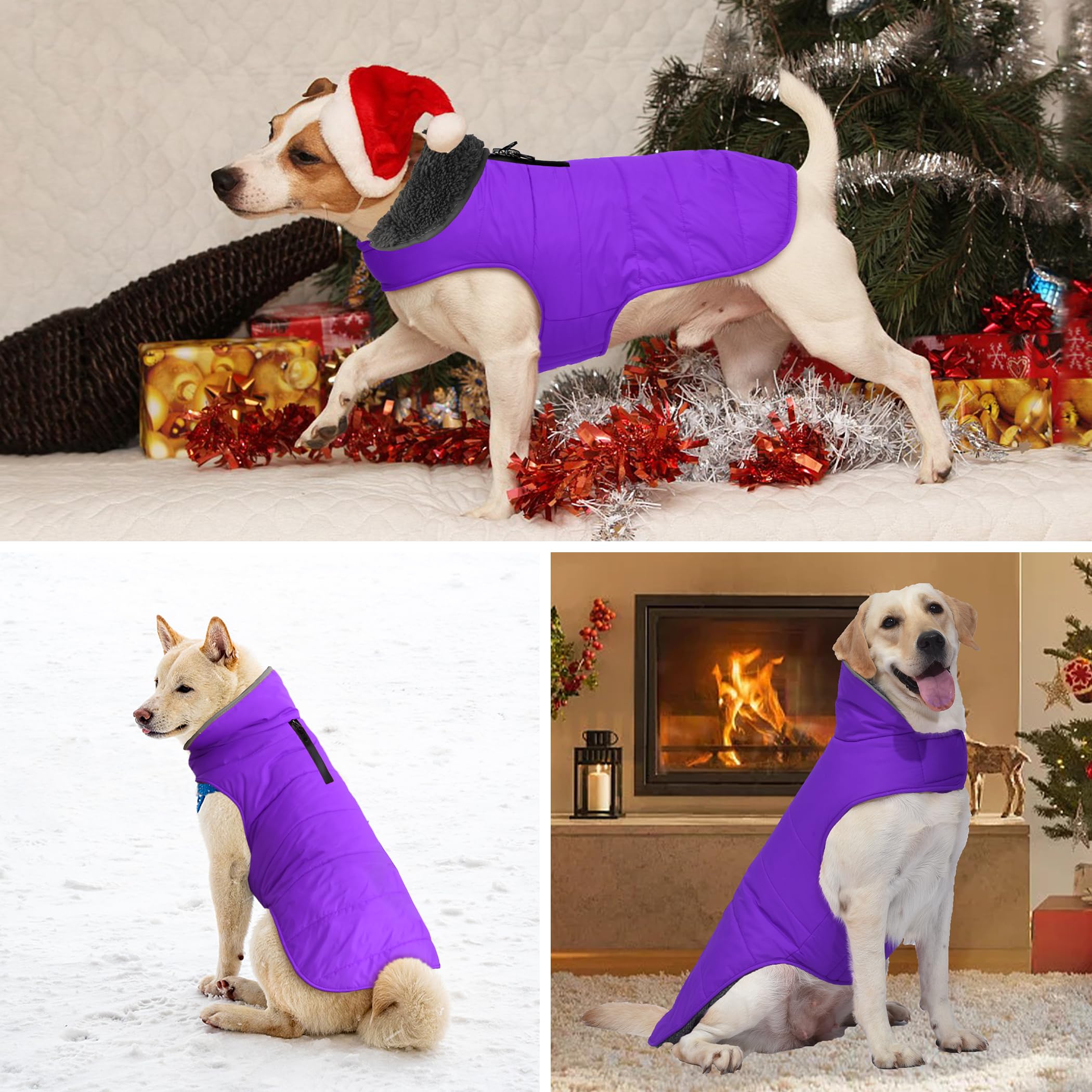 Petglad Abrigo de invierno para perro, chaqueta impermeable para perro con agujero para correa, chaleco reflectante ajustable para mascotas, suéter de forro polar cálido para perros pequeños, medianos