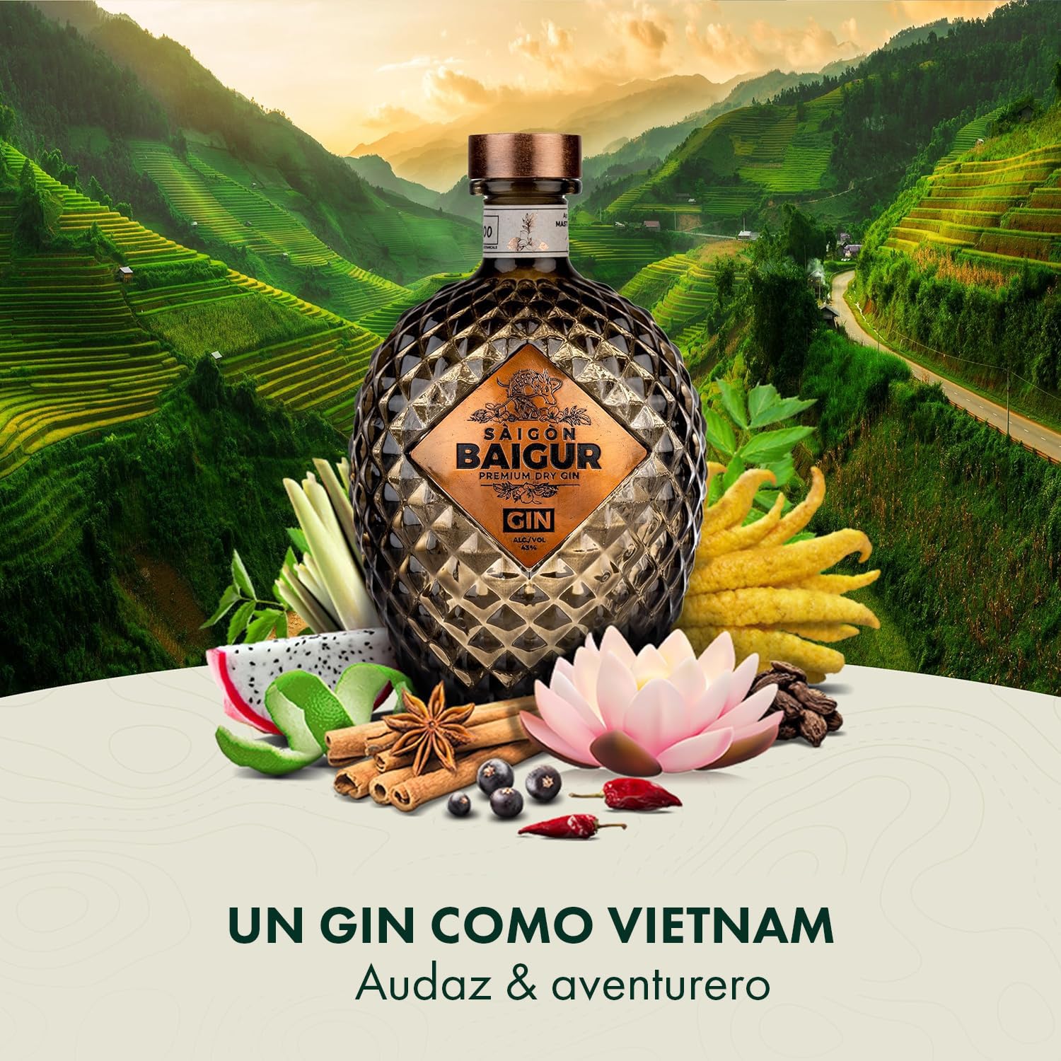 Saigon Baigur Premium Dry Gin 43% Vol. 0,7l