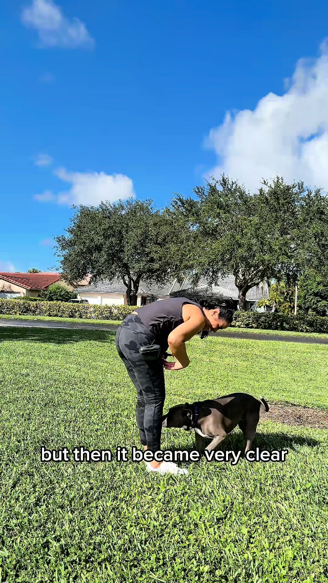 INVIROX Ultra K9 Dog Training Collar, 124 Levels for Reactive, Stubborn or Hard-to-Train Dogs, Long Range ¾ Mile, Night-Light Mode, Safe Communication, IP67 Waterproof E Collar for Large Dogs - image 8