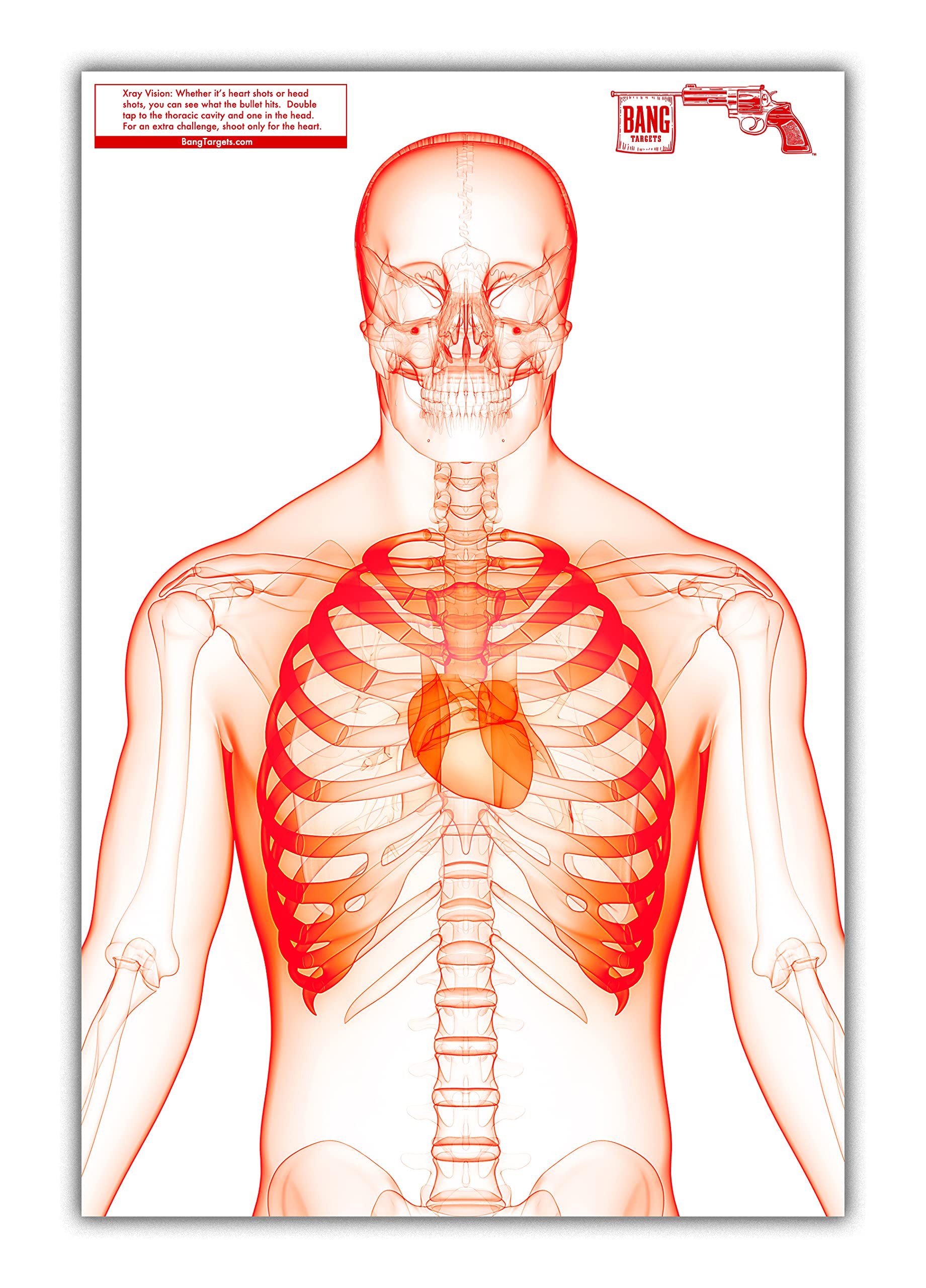 18 x 12 X-Ray Vision Silhouette Shooting Target 25 Pack. Heavy Weight Paper for Pistol, Rifle, BB Gun, Airsoft and Archery Practice