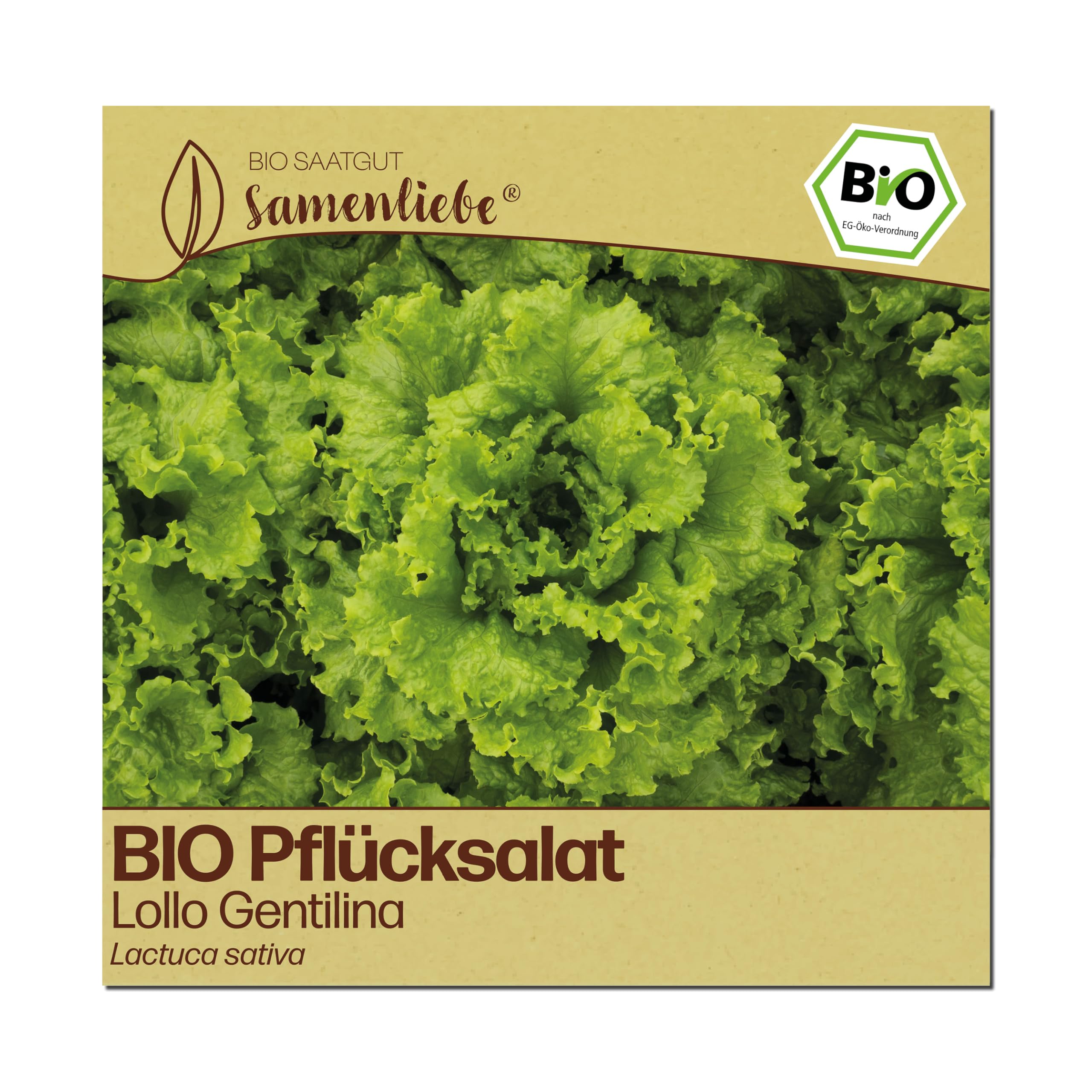 Samenliebe BIO Pflücksalat Samen | Lollo Salat Gentilina - stark gekraust - samenfestes BIO Saatgut
