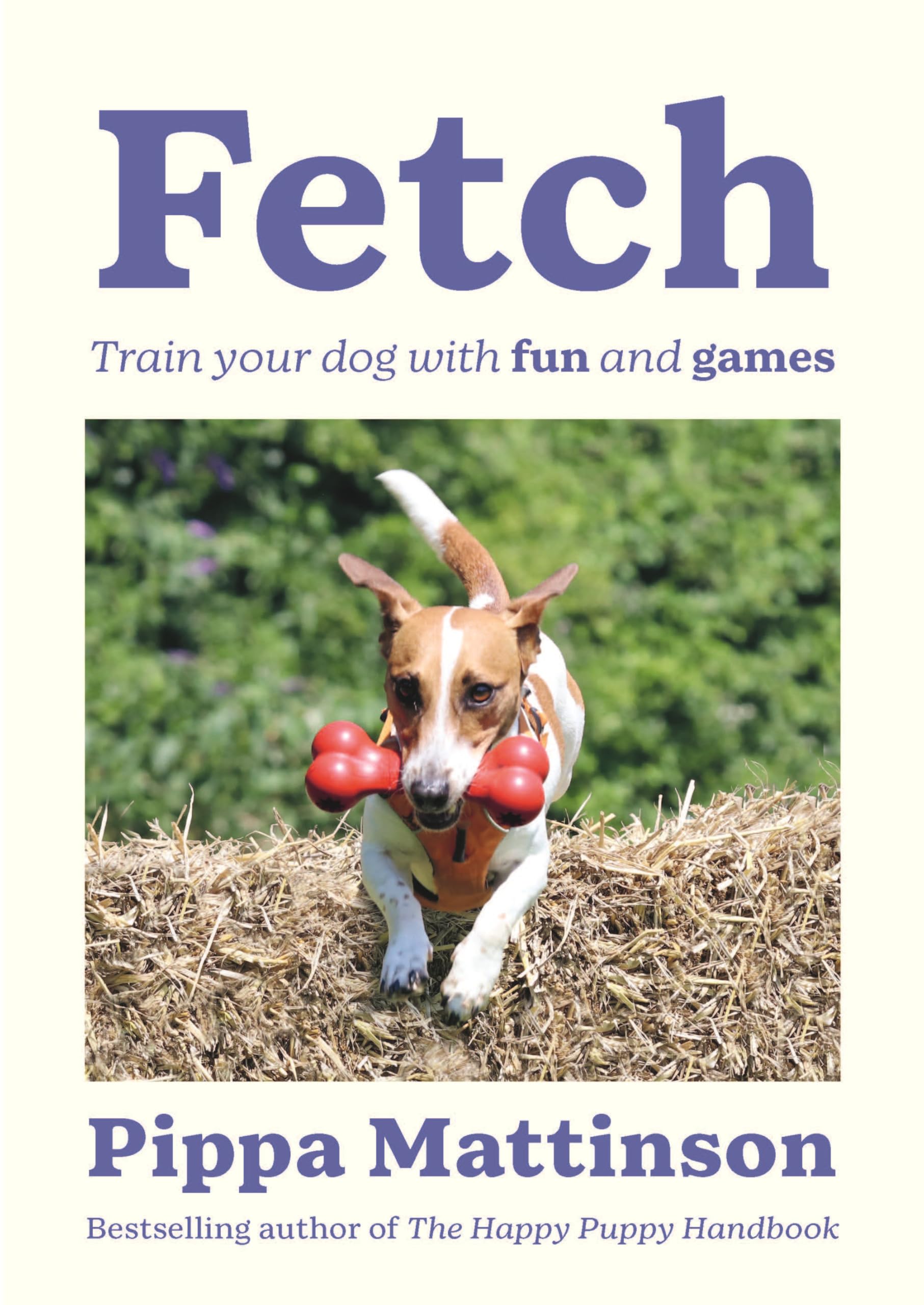 Fetch : Train your Dog with Fun and Games