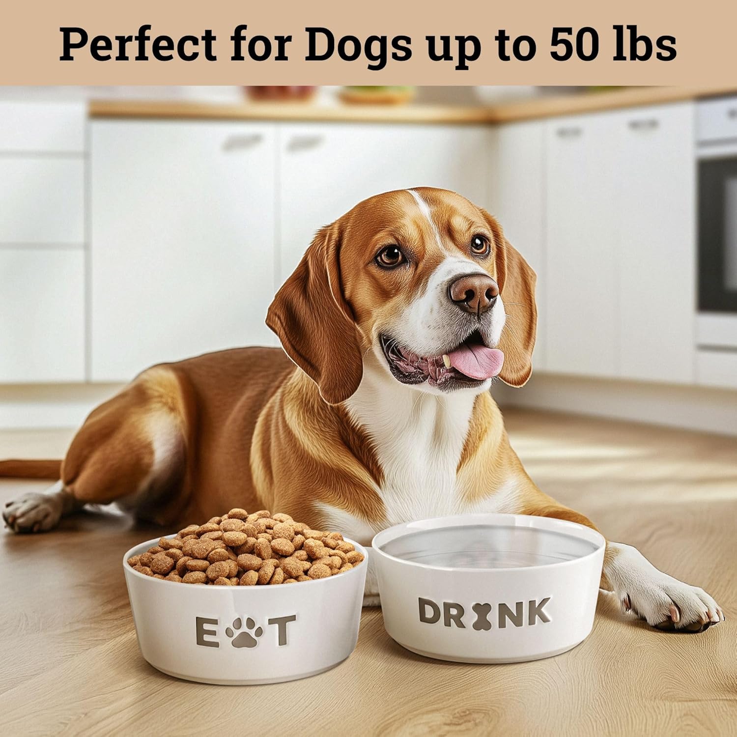 Ceramic Dog Bowl Set of 2 with Anti-Skid Base - 6.5" Wide x 2.5" Tall Ceramic Dog Bowls Medium Sized Dogs - 3.8 Cup Capacity Food and Water Bowls for Dogs - Rubber Bottom Pet Bowl Set of 2 Medium Size