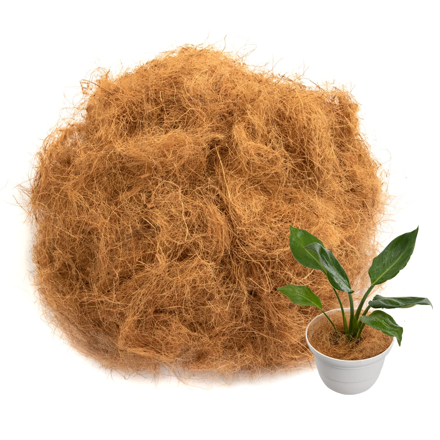 Amazon | アストロ ココヤシファイバー 約300g ココファイバー