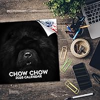 Vista 302 de Razas de Perros 2017