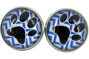 Elegant Black Panther Jewelry: Stainless Steel Chevron and Black Paw Print Glass Stud Earrings