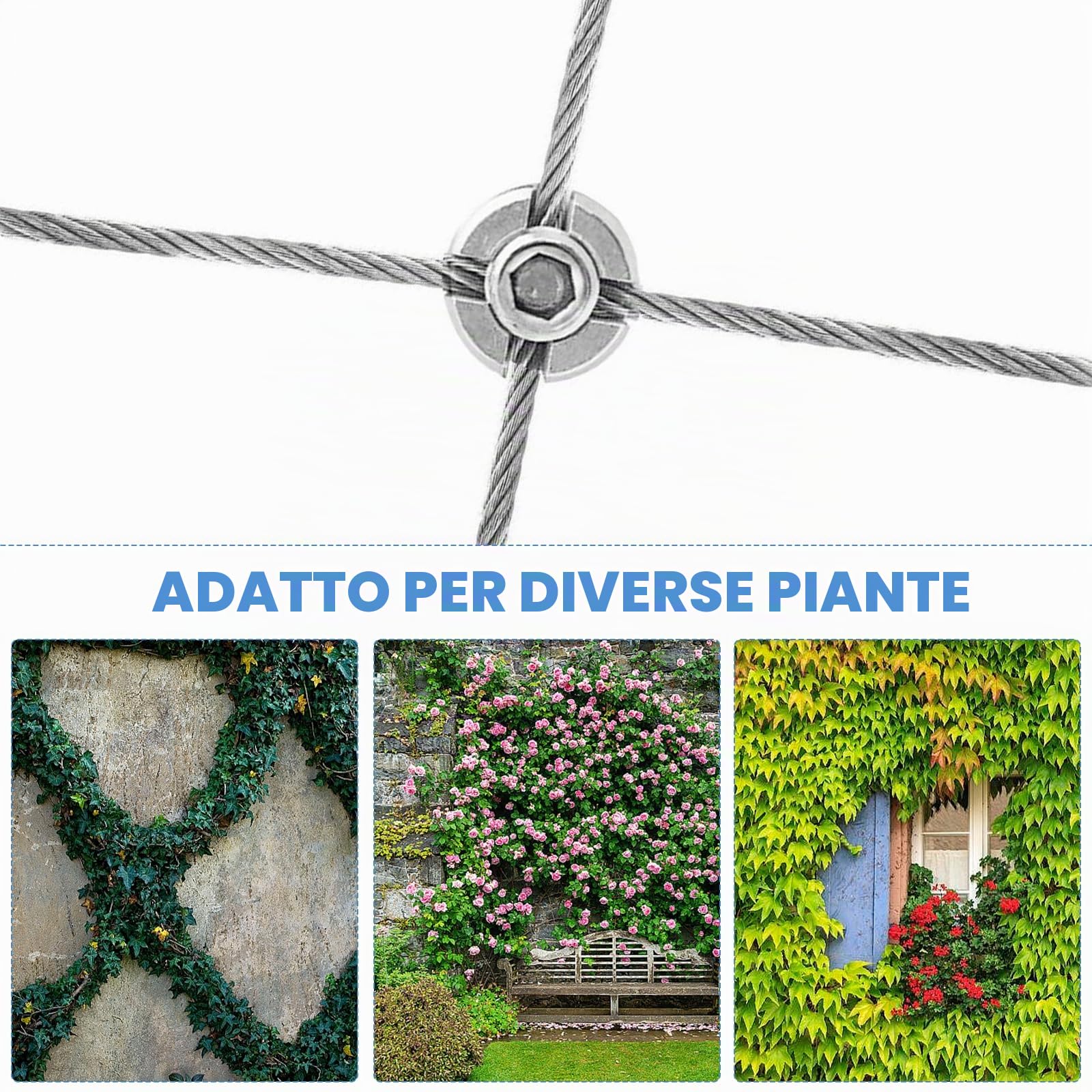 Supporto per Piante Rampicanti, Traliccio in Filo Giardino in Acciaio Inox per, Pianta Rampicante Telaio Supporto Rete Piante Rampicanti con 8 Supporti a Parete e 3mm Corda in Acciaio da 12m