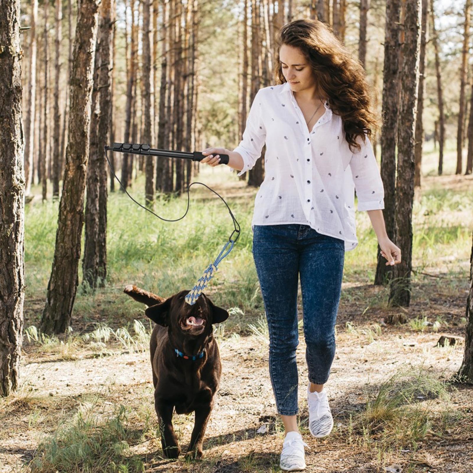 de juguete interactiva para perros | de juguete para mascotas retráctil, equipo de entrenamiento de agilidad, herramienta de ejercicio, accesorio de juego al aire libre para perros