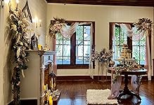 Review Image by Trish