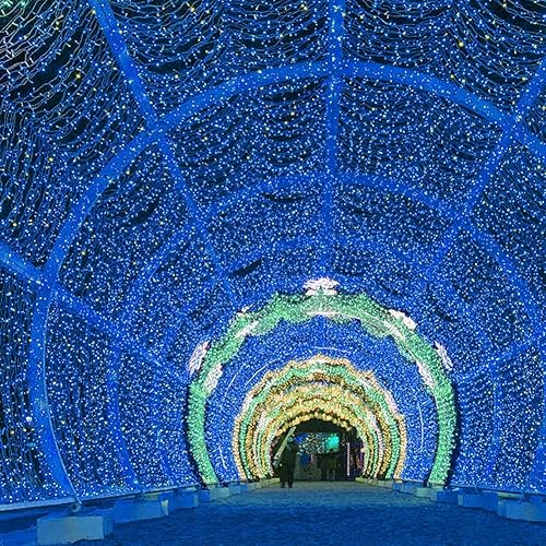 Vista 74 de HOME LIGHTING Guirnalda de 200 luces LED de 66 pies, luz patriótica del 4 de julio con 8 modos de iluminación, mini luces enchufables para Rojo