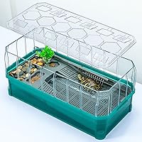 Binano Turtle Tank Kit 18.2x9.2x8 Inch - Spacious Baby Turtle Habitat with Rain Shower Filter, Easy Drain for Sliders & Tortoises