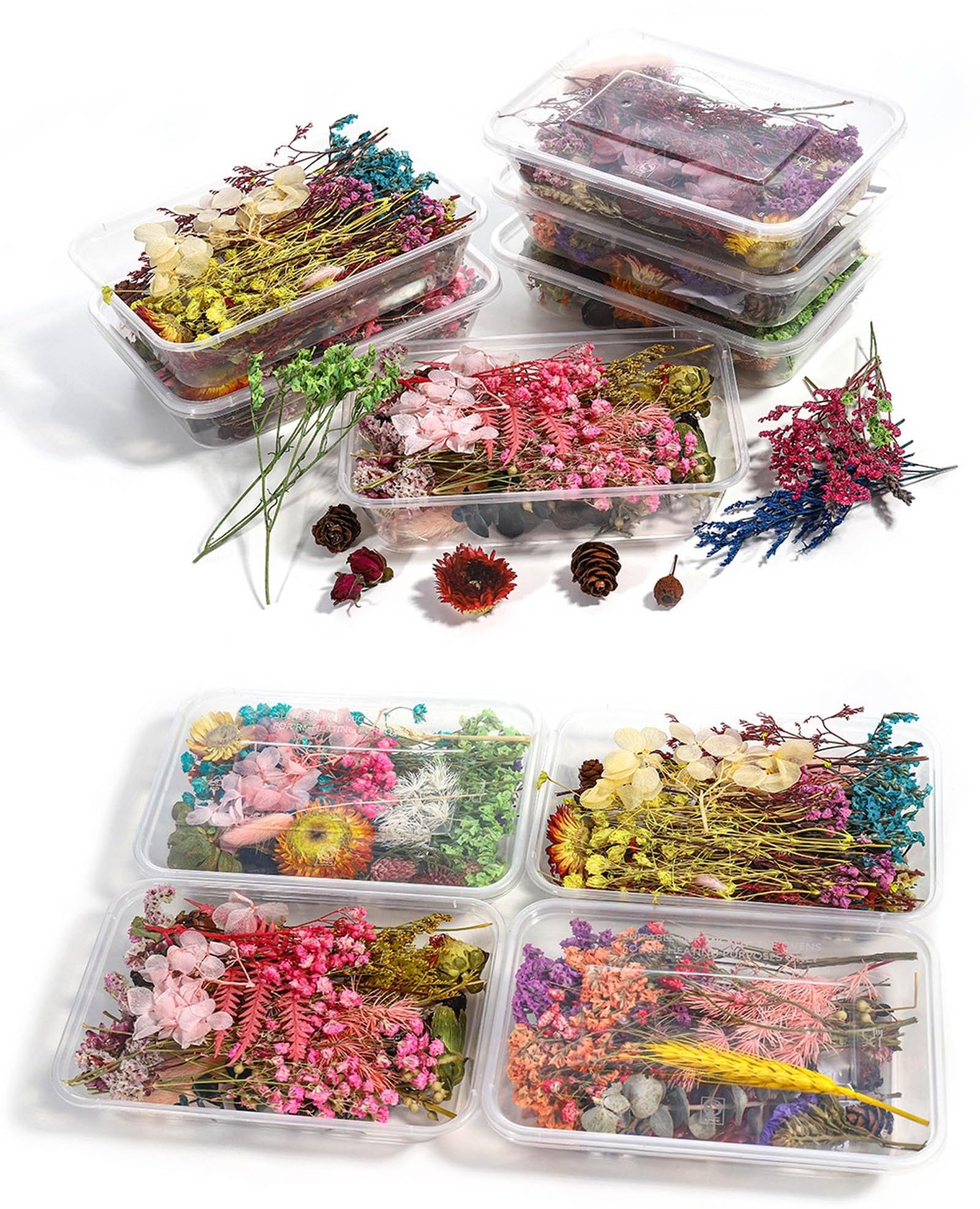 Trockenblumen Set, 9 Box, Getrocknete Blumen zum Basteln, Jahrestag Geschenk für ihn und sie, Geschenke für Frauen, Freundin, Partner, Valentinstag, Hochzeit, Geburtstag, Trocken Blumen Deko (Mix)