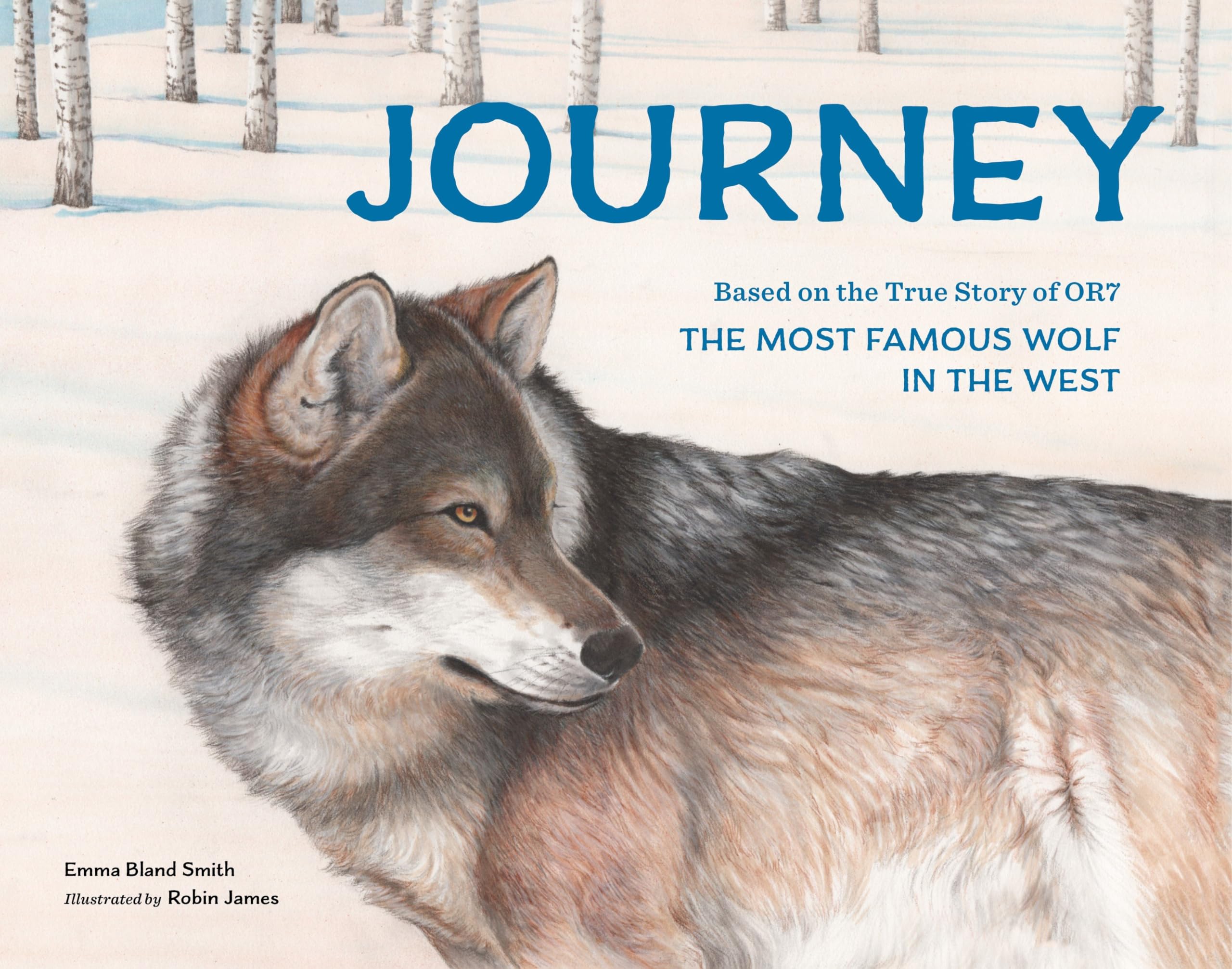 Journey: Based on the True Story of OR7, the Most Famous Wolf in the West