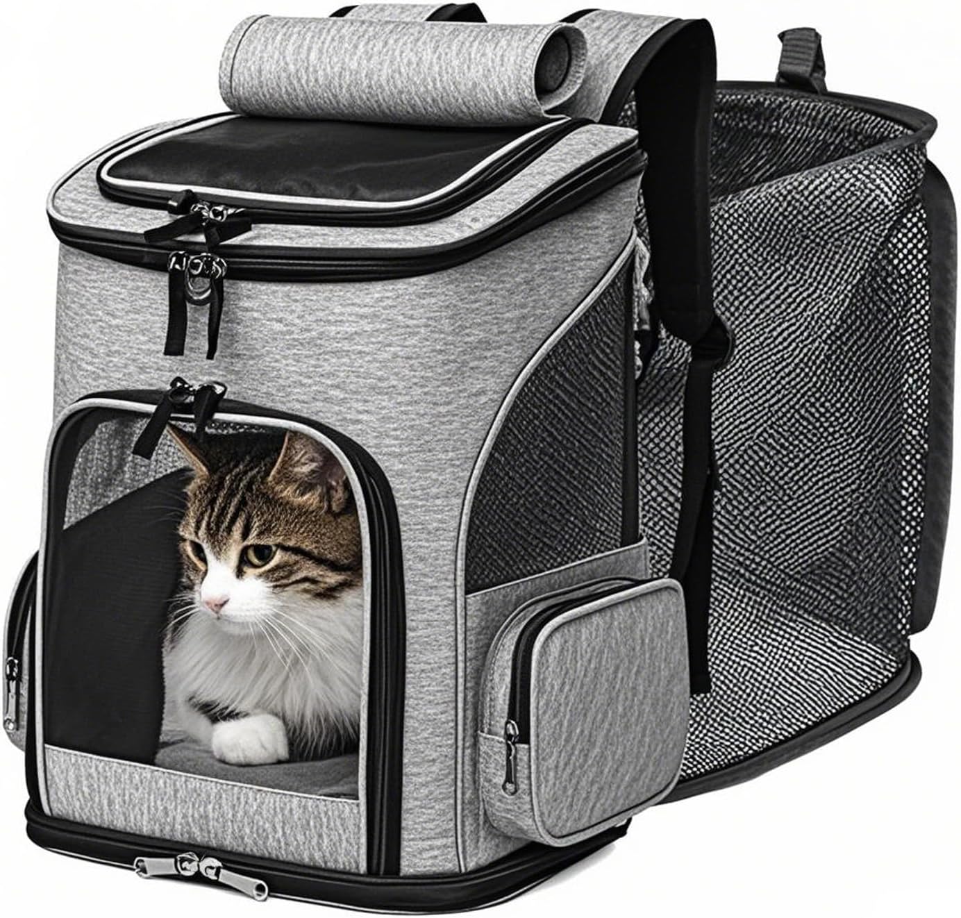 Airline Approved Expandable Cat Backpack Carrier for Small Pets Airline Approved Expandable Cat Backpack Carrier for Small Pets