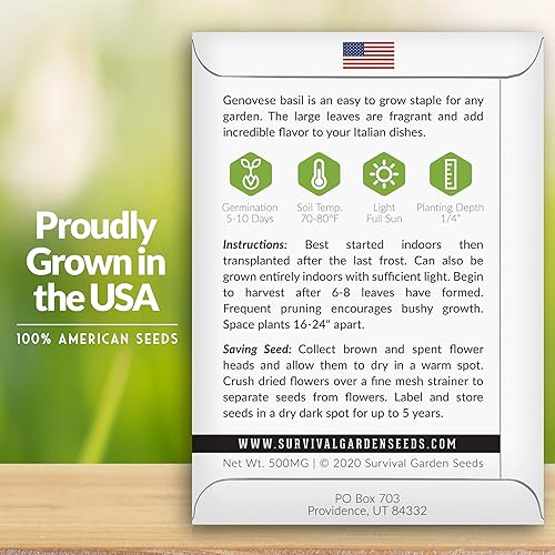 Miniatura 4 de 5 paquetes de semillas de albahaca genovesa para plantar con instrucciones para cultivar deliciosas hierbas italianas en el huerto de tu hogar,