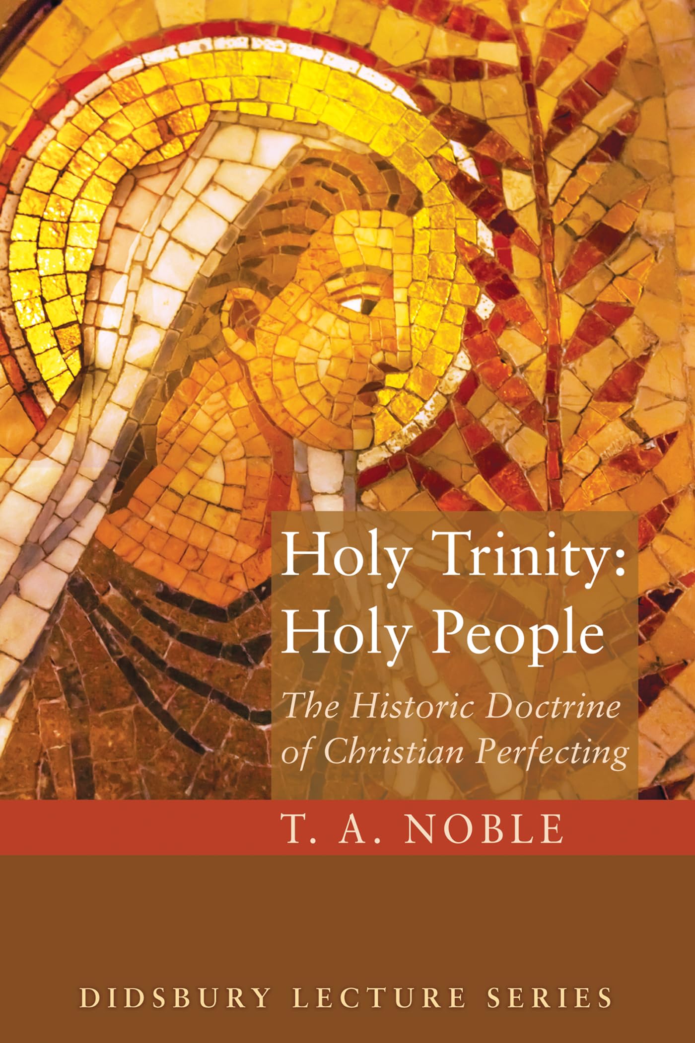 Holy Trinity: Holy People: The Theology of Christian Perfecting (Didsbury Lectures)