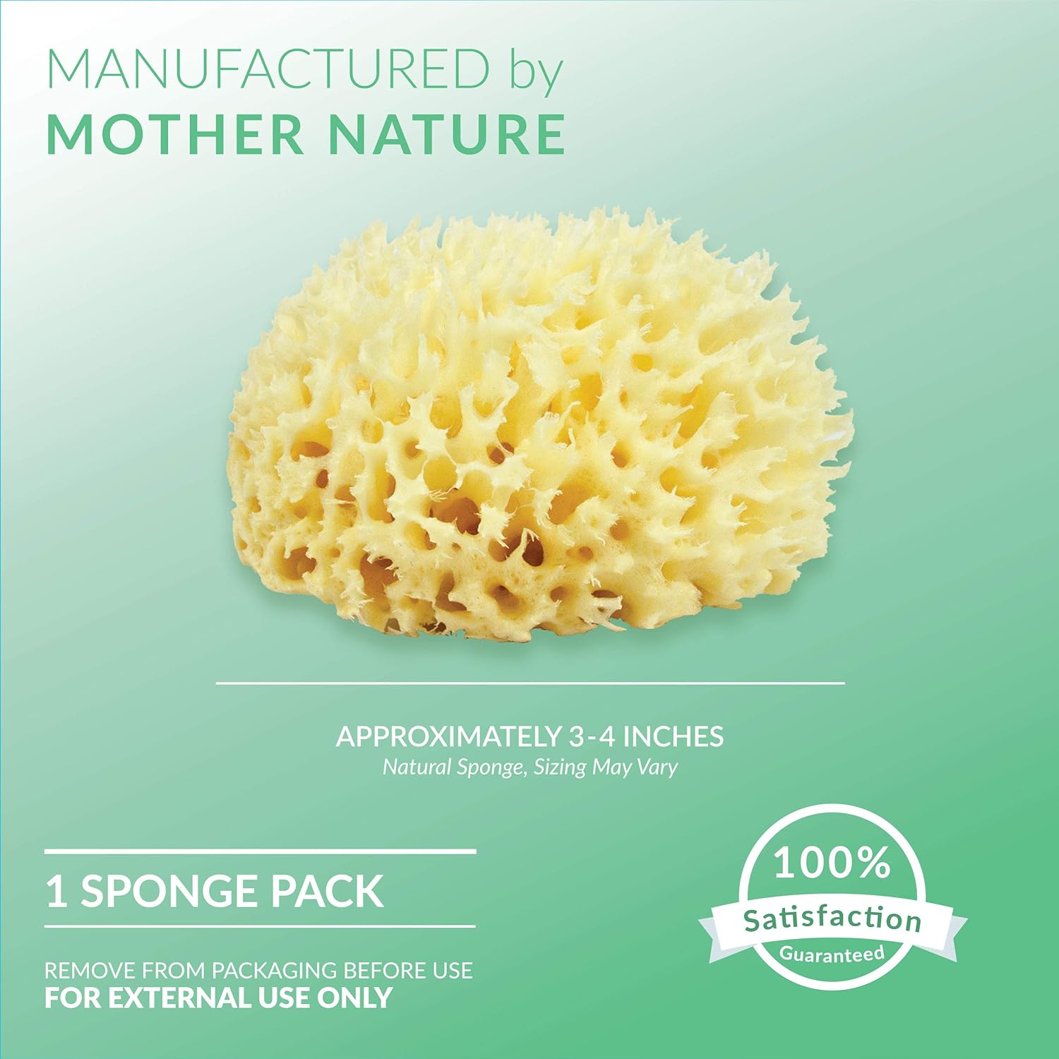 Neptune Natural Sea Wool Sponge - All Natural Honeycomb Renewable Sea Sponge, Medium, Approx. 4 Inches : Beauty & Personal Care
