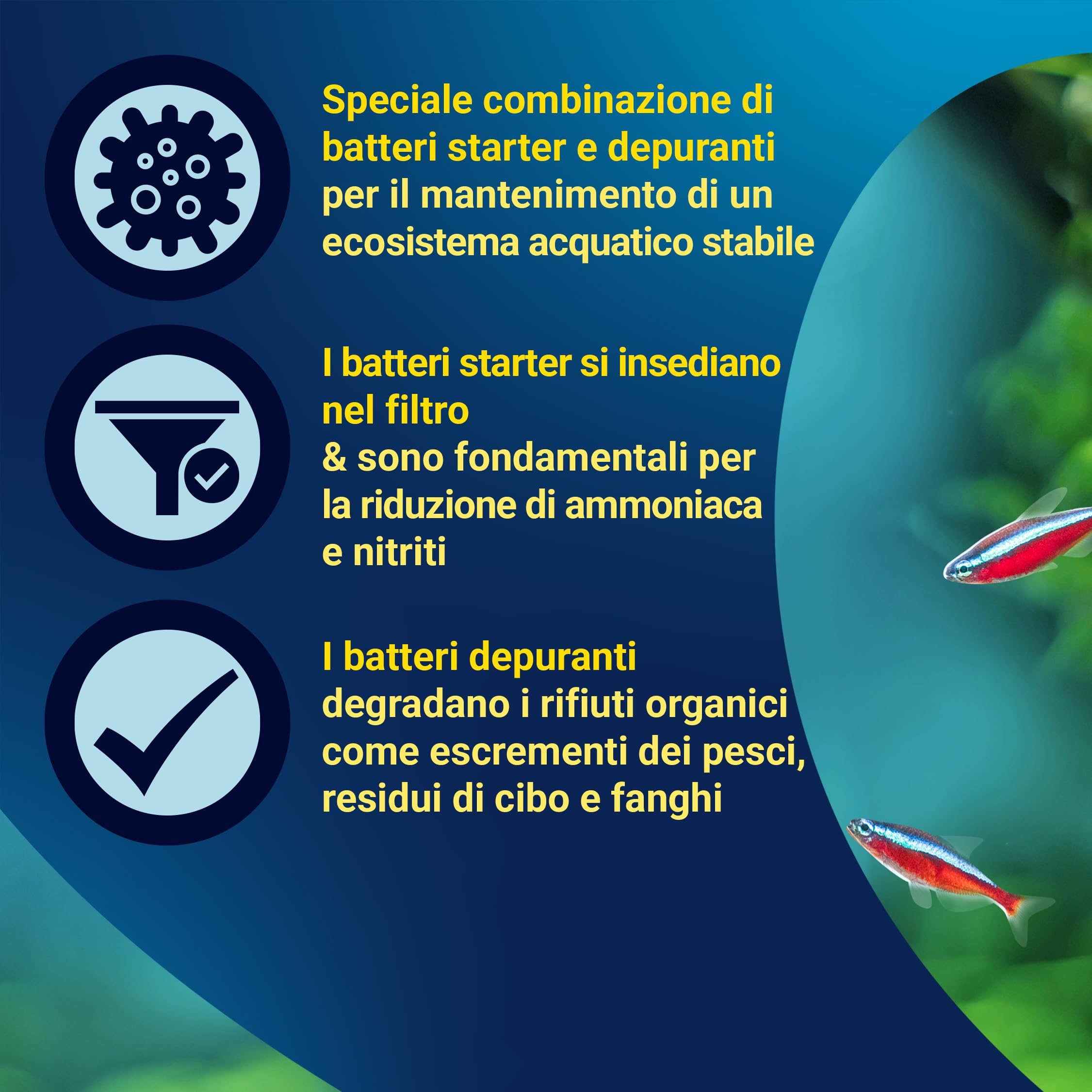 Tetra FilterActive 250 ml Contiene Batteri Vivi che Attivano il Filtro e che Riducono l'Accumulo di Impurità, Mantiene il Filtro Biologicamente Attivo