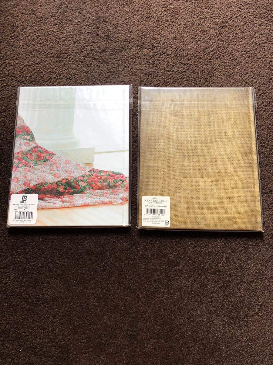 西野カナ コンサート パンフレット ライブ パンフ Kanayan 2010 西野
