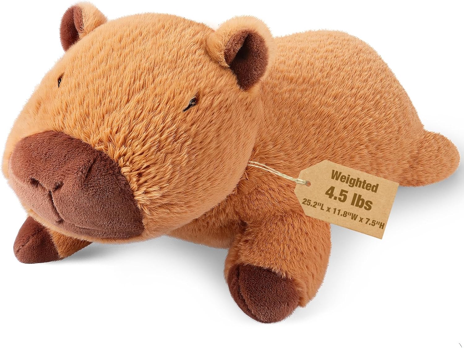 Bobbie & Laxi 25″...