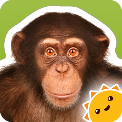 Zoo Animals ~ Touch, Look, Listen