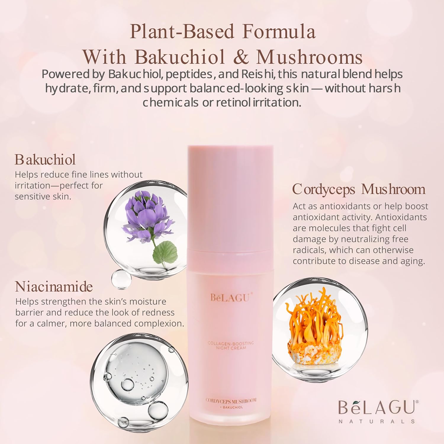 BeLagu Collagen Boosting Night Cream with Bakuchiol & Adaptogenic Mushrooms - Natural Retinol Alternative Moisturizer for Firming, Smoothing & Stress Defense - Vegan Skincare Face Cream (1 fl oz) - Image 4