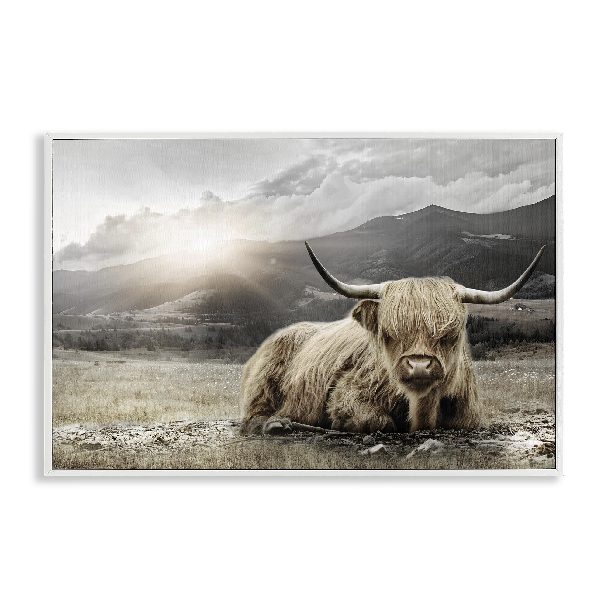 Stupell Industries Coastal White (Textured) 'Cattle Resting In Morning Sun'| Framed Giclee Art