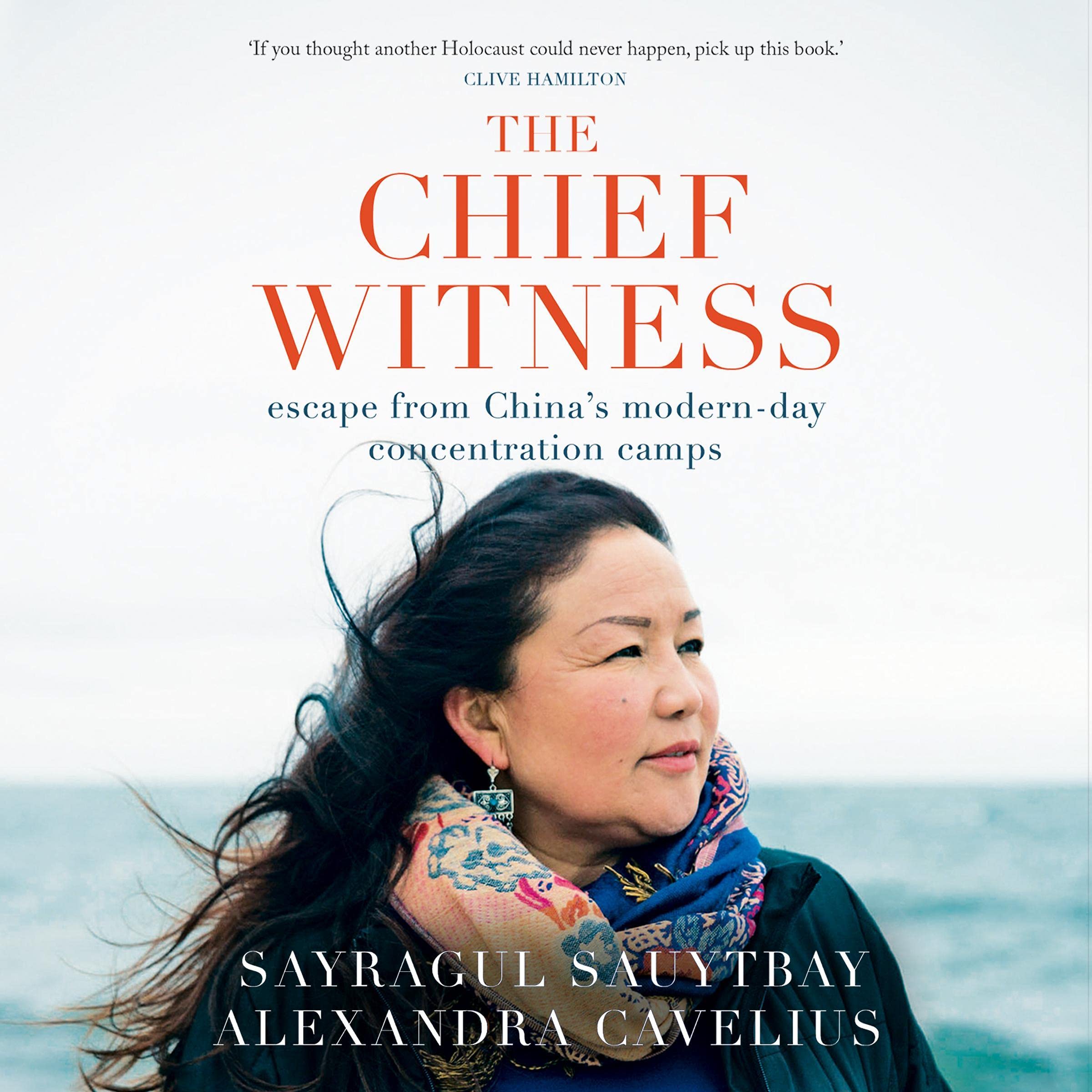 Cover art for The Chief Witness
