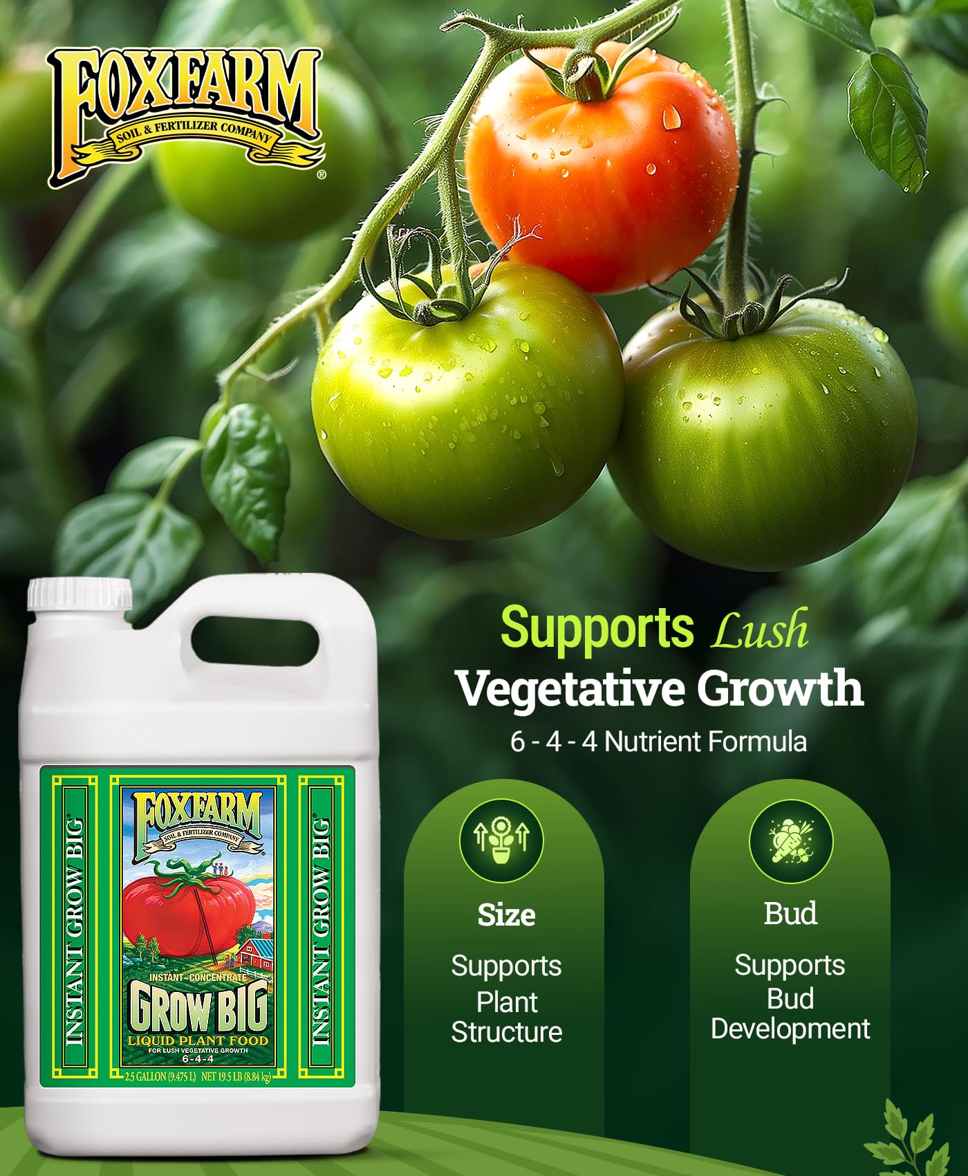 FoxFarm Grow Big Liquid Concentrate 6-4-4 2.5 Gallon - Image 3