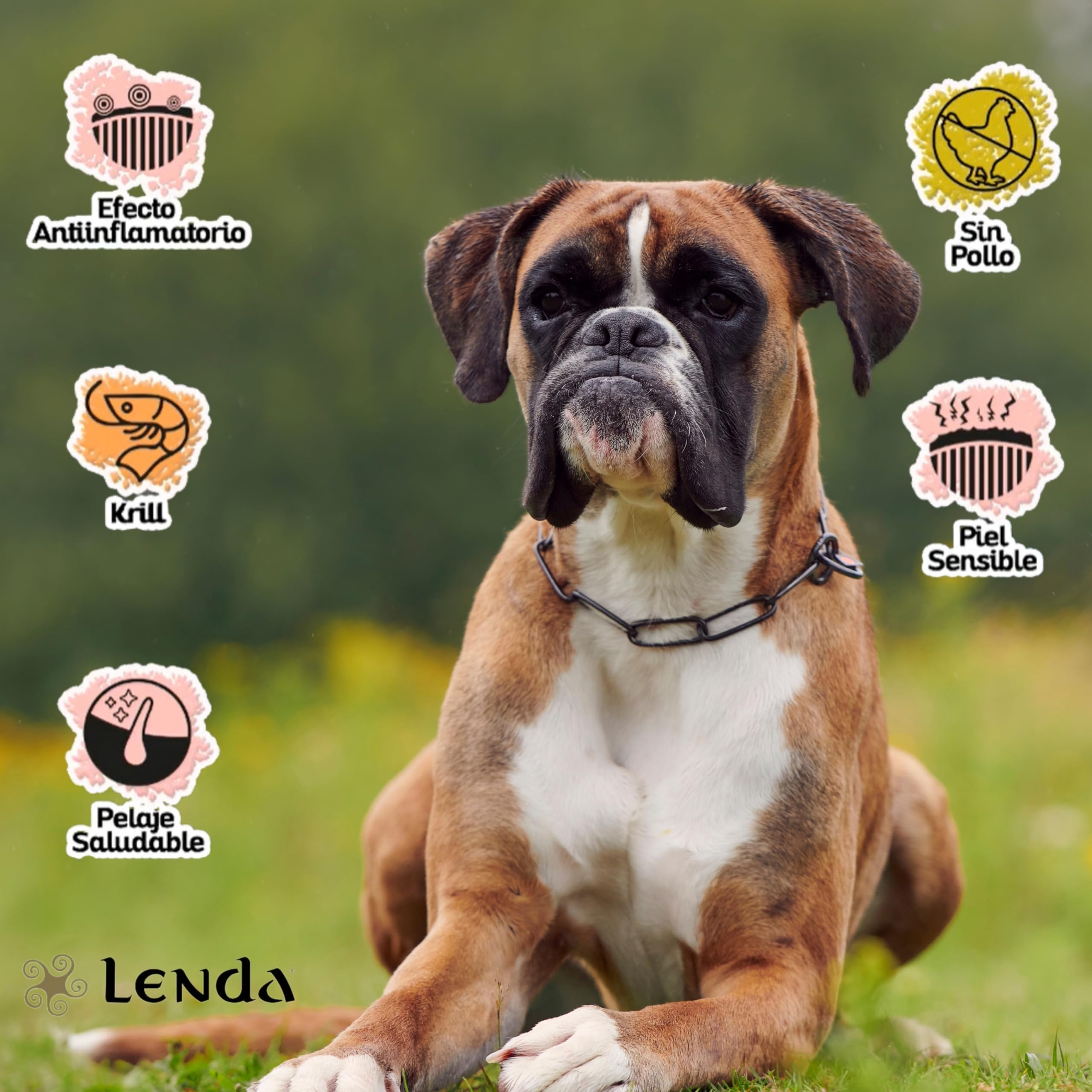 Lenda Pavo 12Kg - Pienso Hipoalergénico para Perros Jóvenes y Adultos con Alergias o Intolerancias | Comida para Perros Rica en Pavo | Pienso para Perro Natural y SIN Cereales