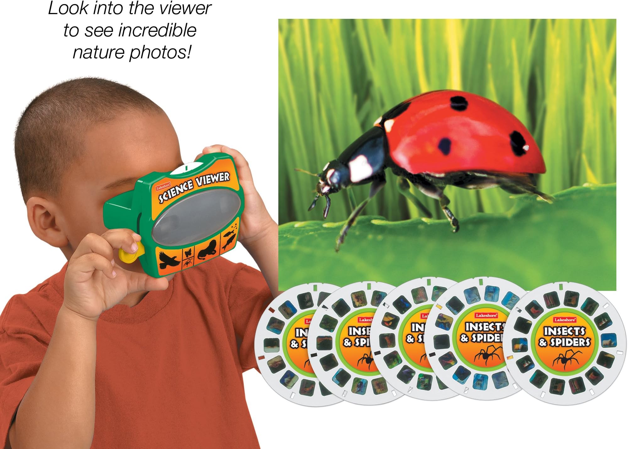 Lakeshore Insects & Spiders Science Viewer