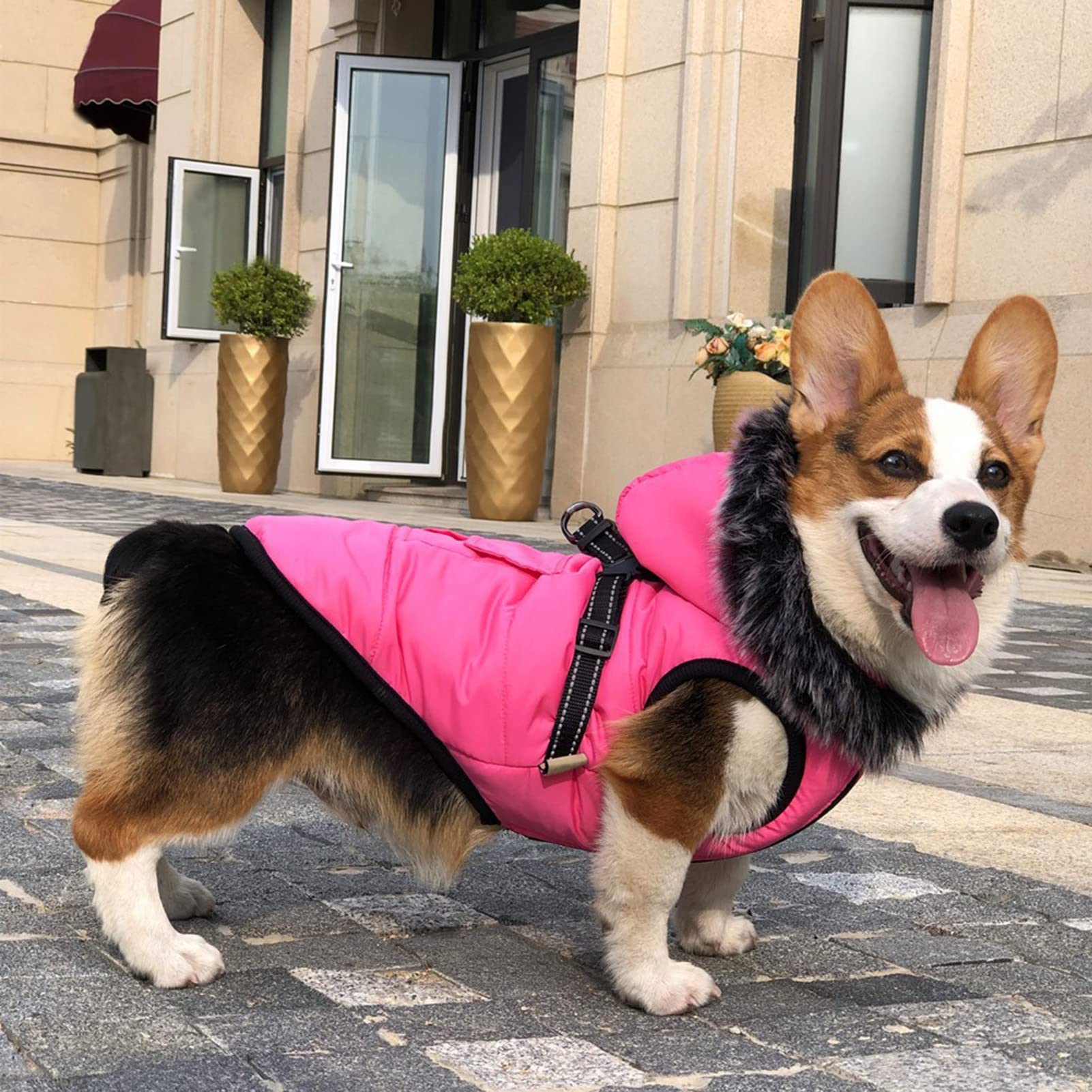 Moletom Para Cães Com Capuz - Ajustável, Refletivo, Bolso, Conforto Para Frio, Tamanho 2GG