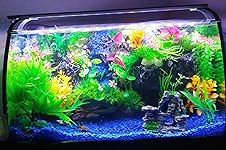 Review Image by EDDIE K PHILLIPS EDDIE K PHILLIPS