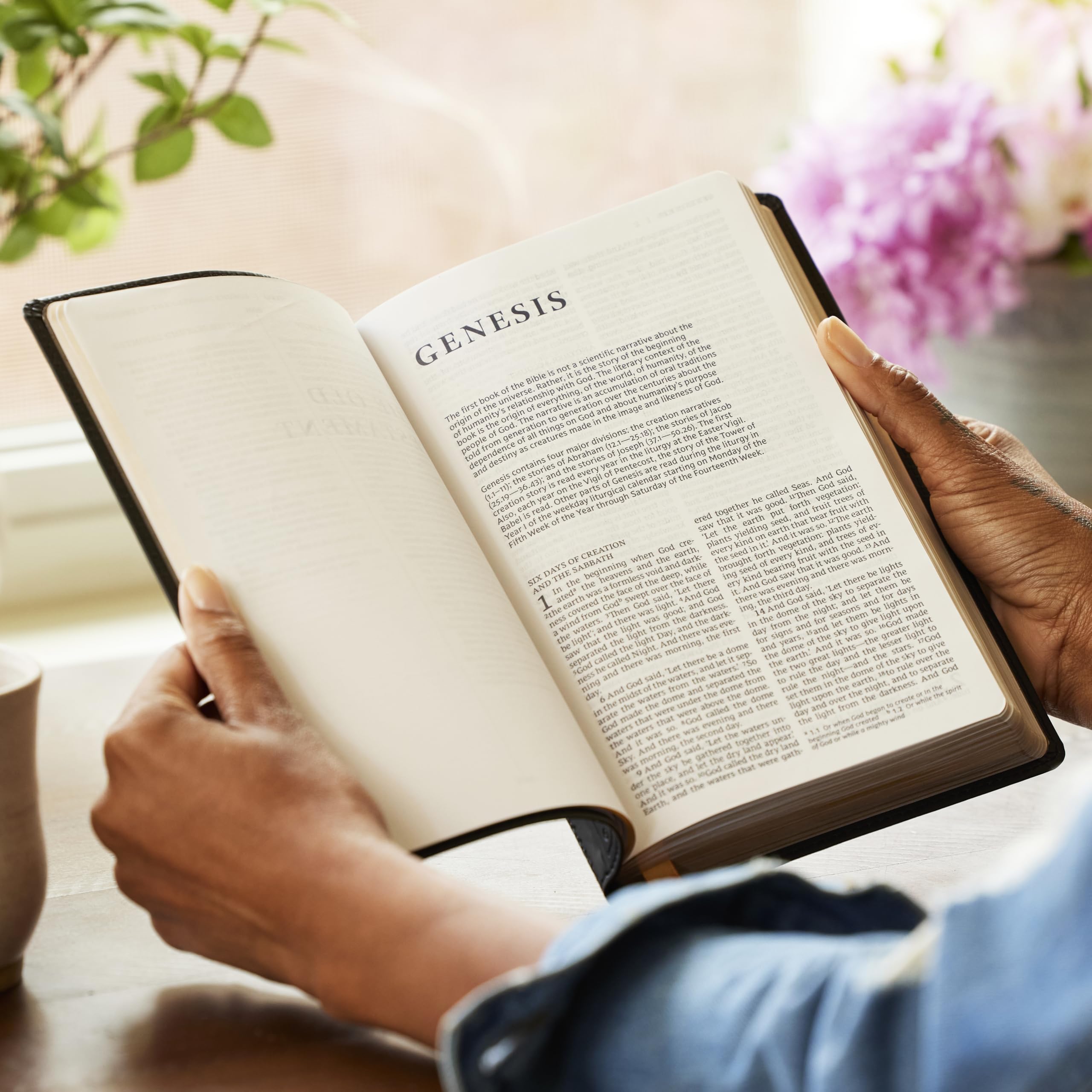 Holy Bible: New Revised Standard Version, Catholic Bible, Standard Personal Size, Red, Leathersoft, Comfort Print