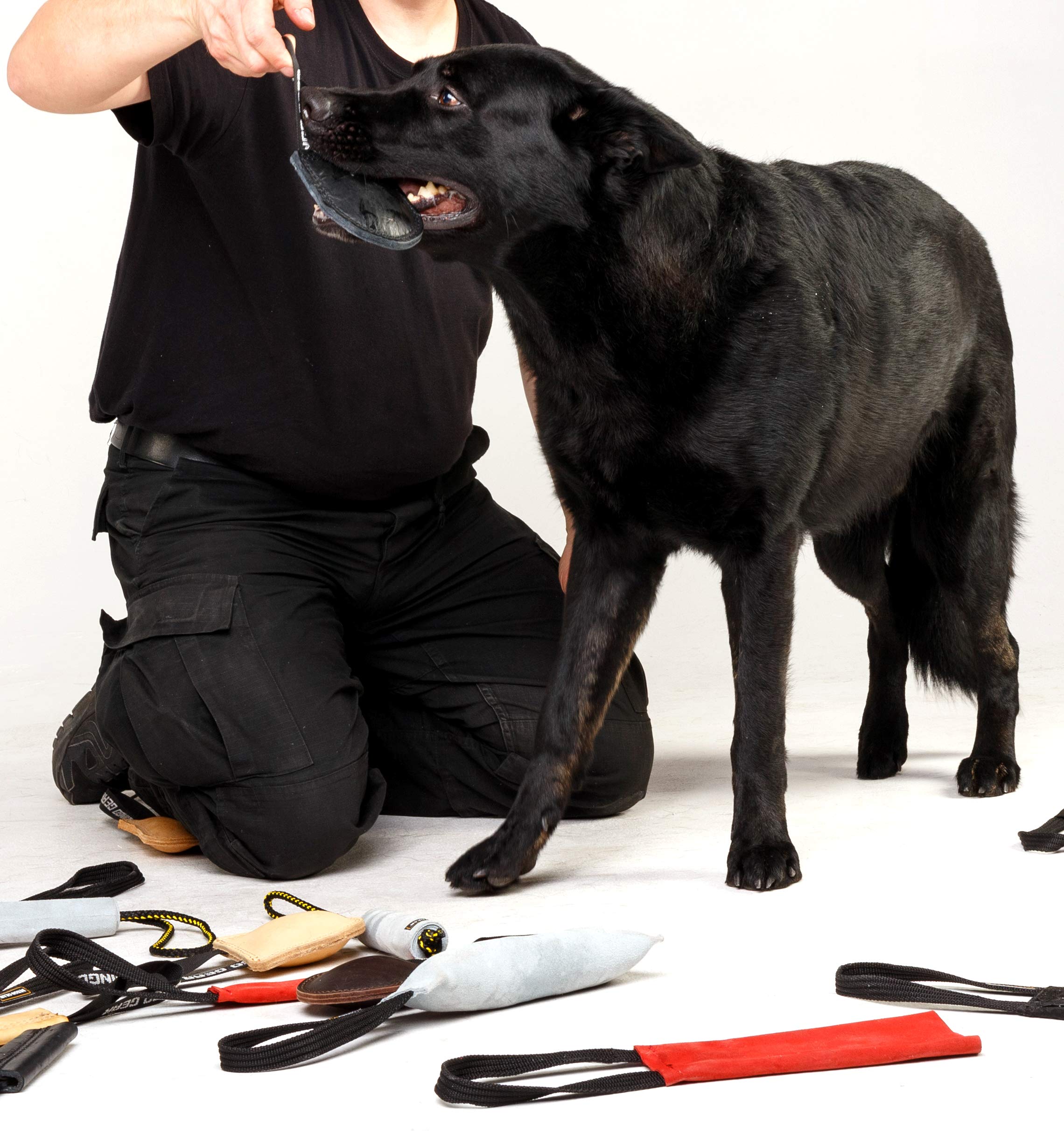 Dingo Gear S00229 - Giocattolo in Vera Pelle, Fatto a Mano, per addestramento e Gioco del Cane, Colore: Nero