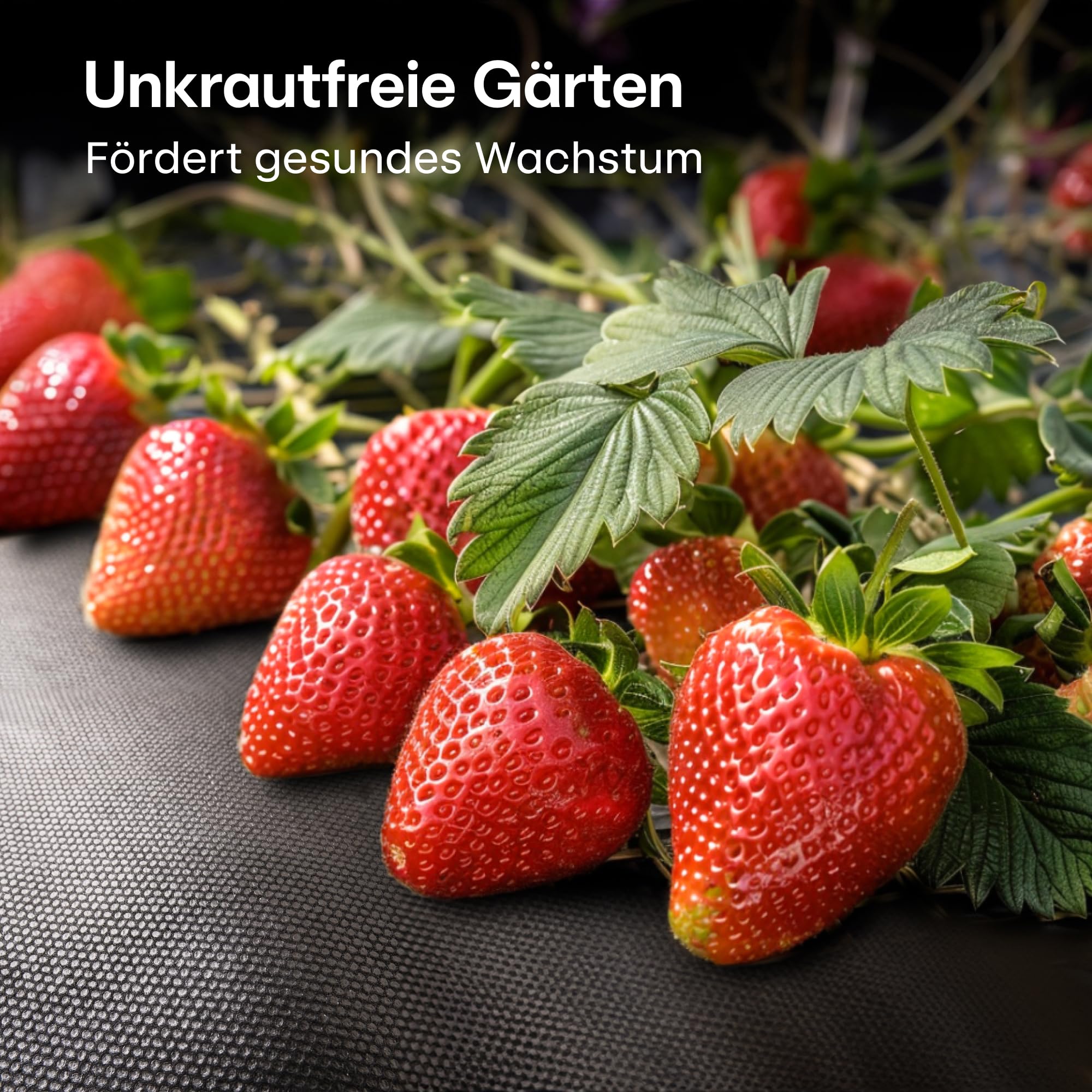 Praknu Unkrautvlies 100g/m2 Extra Stark - 50m2 - Unkrautfolie mit 24 Erdankern - Wasserdurchlässig & Reißfest - UV Stabil - Gartenvlies - Gartenfolie - Mulchfolie - Vlies gegen Unkraut - Unkrautmatte