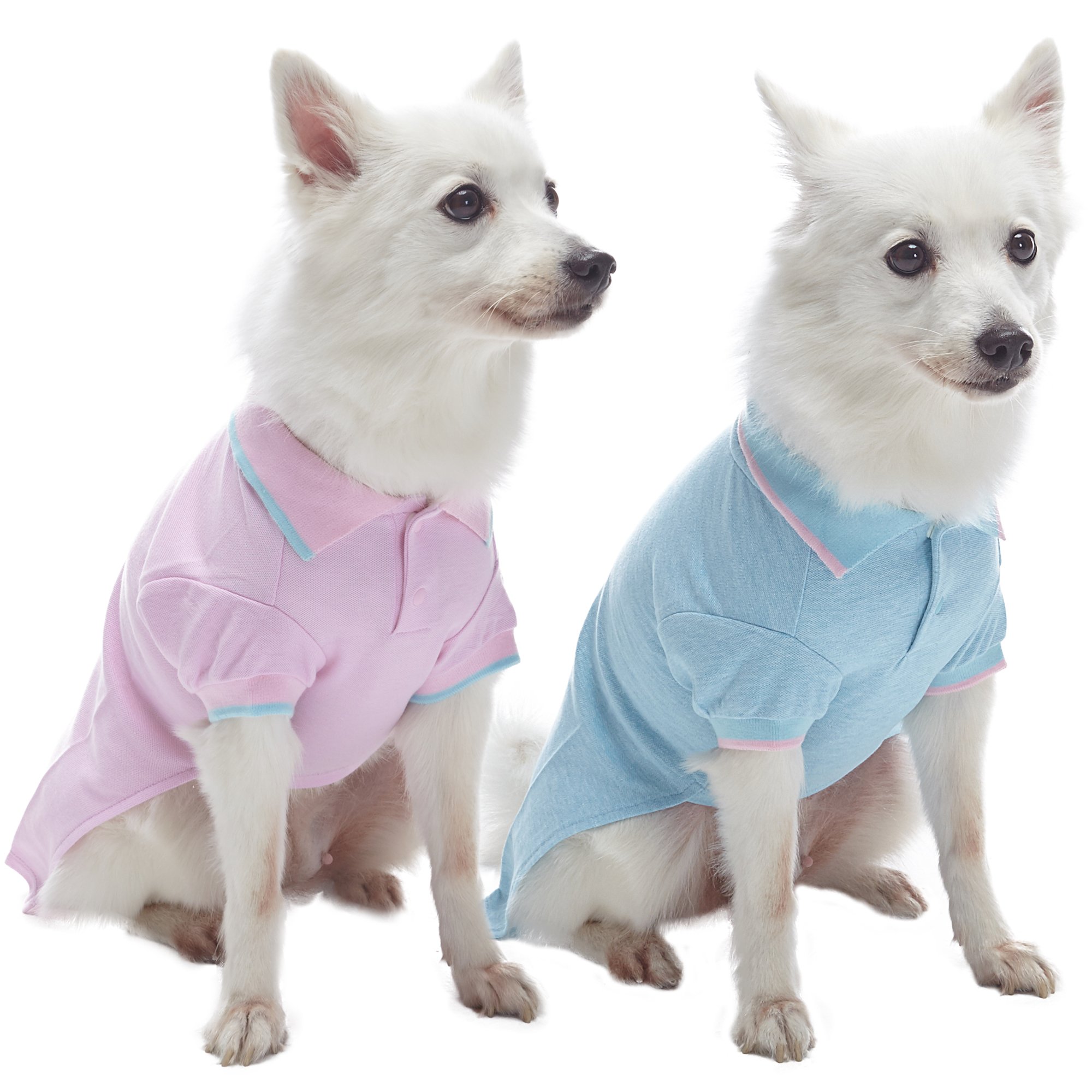 Polos pour chien respirants et extensibles Blueberry Pet, lot de 2 coton rose/bleu
