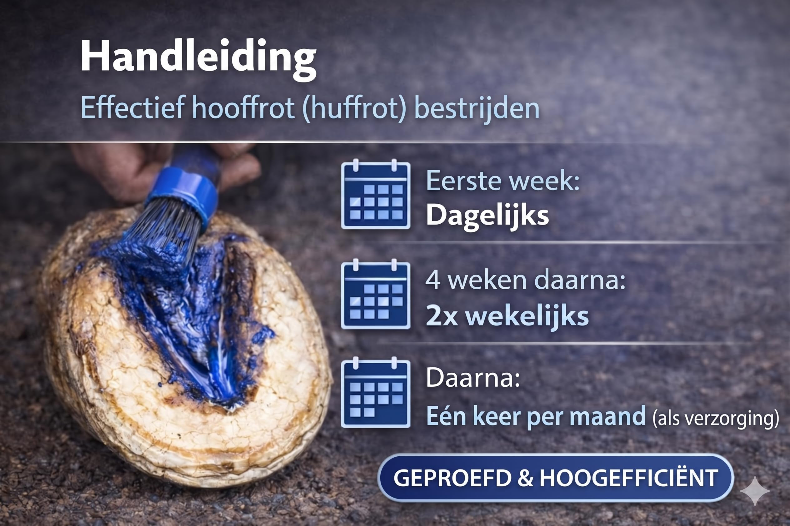 BlueHoof Strahlfäule Paste für Pferde – Hufpflege gegen Strahlfäule & Hufprobleme – trocknend & pflegend – 250 ml
