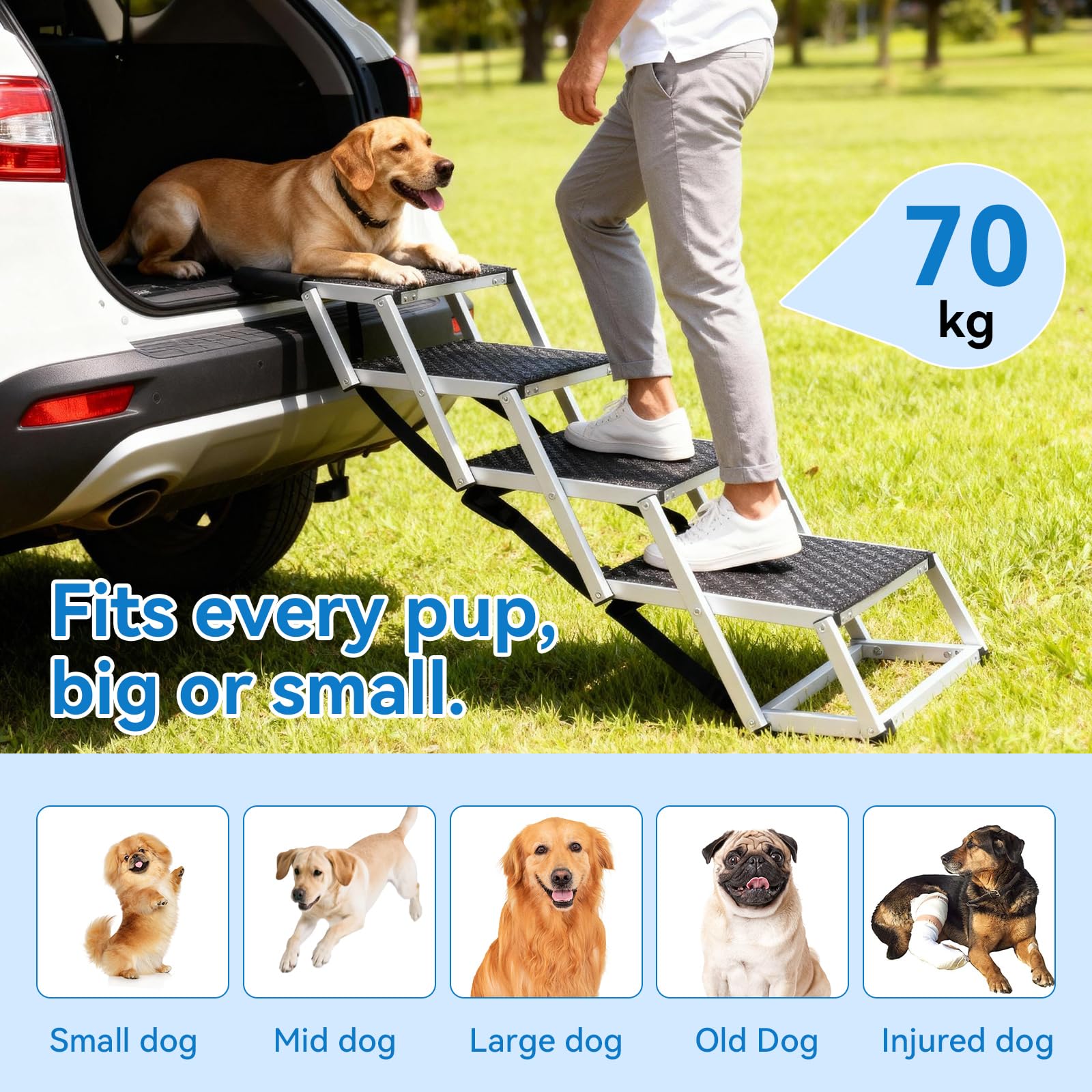 Rampa per cani a 5 stpes per auto: gradini extra larghi con tappeto antiscivolo, rampa pieghevole in alluminio portatile per animali domestici, per auto, SUV e camion, supporta fino a 70 kg