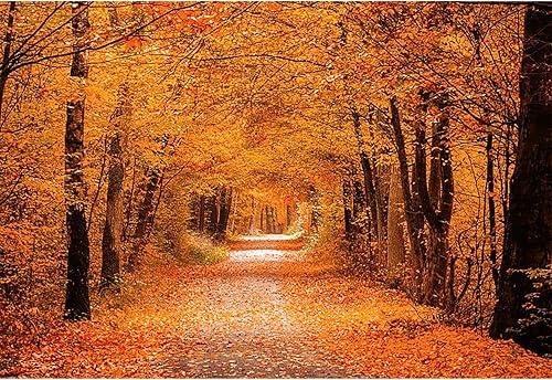 dnldliq 7x5ft Fall Forest Backdrop Autumn Natural Landscape Tree Leaves Photogra