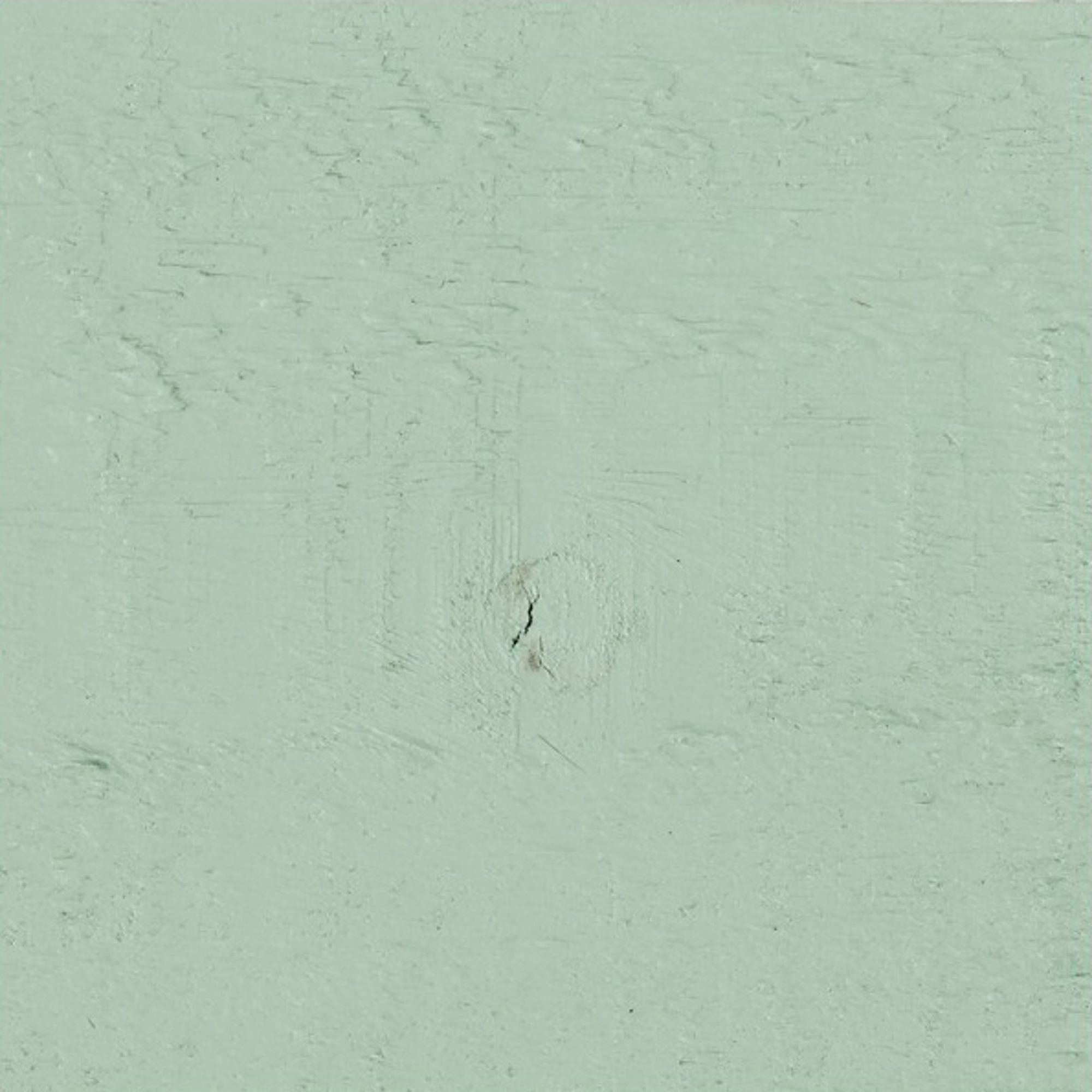 Protek Royal Exterior Wood Finish Spring Green 1 Litre