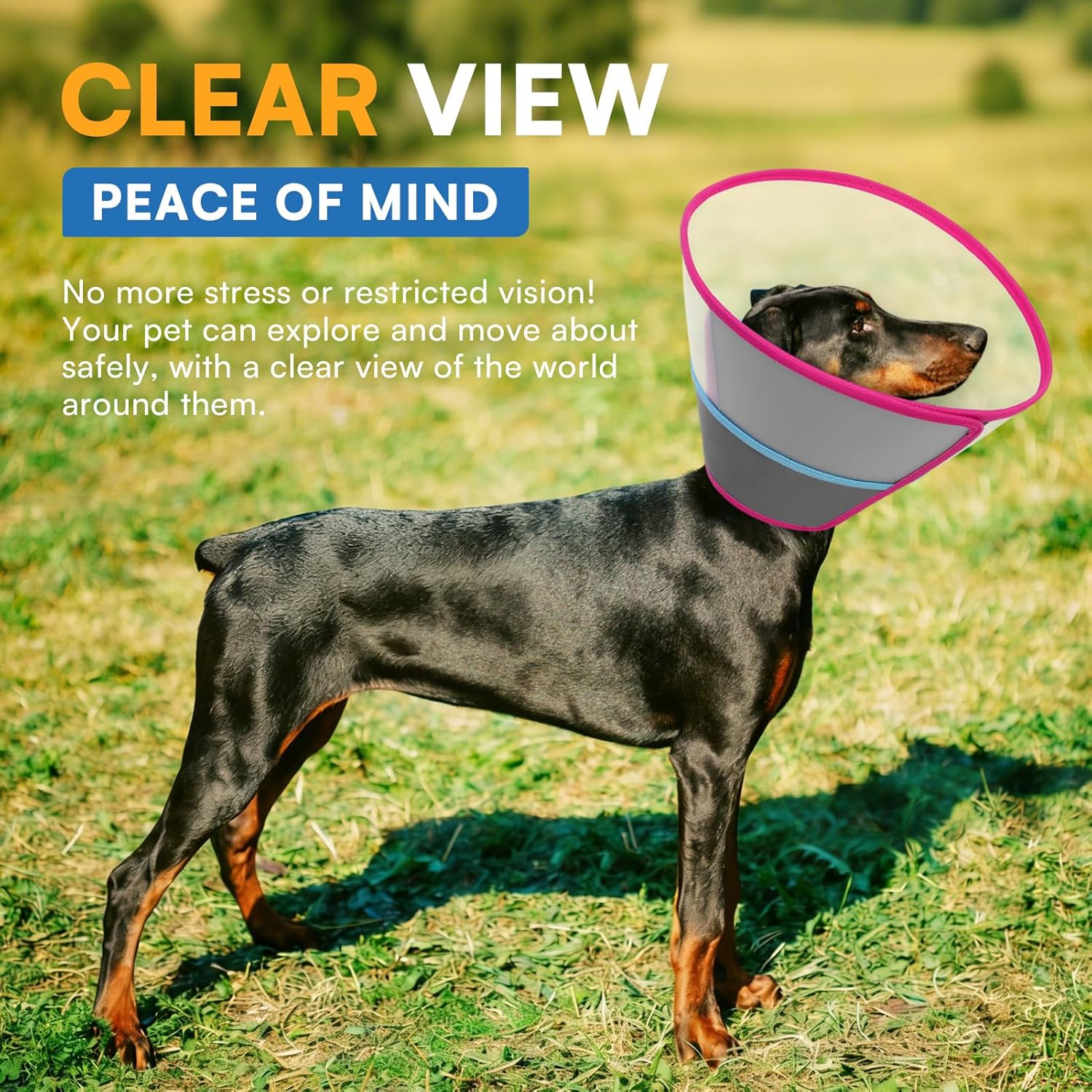 Queenmore Dog Cones for Large Dogs Soft Pet Recovery Collar After Surgery, Adjustable Dog Neck Cone Surgical Elizabeth E-Collar Prevent Biting and Stop Licking Wound, Rose Red XL