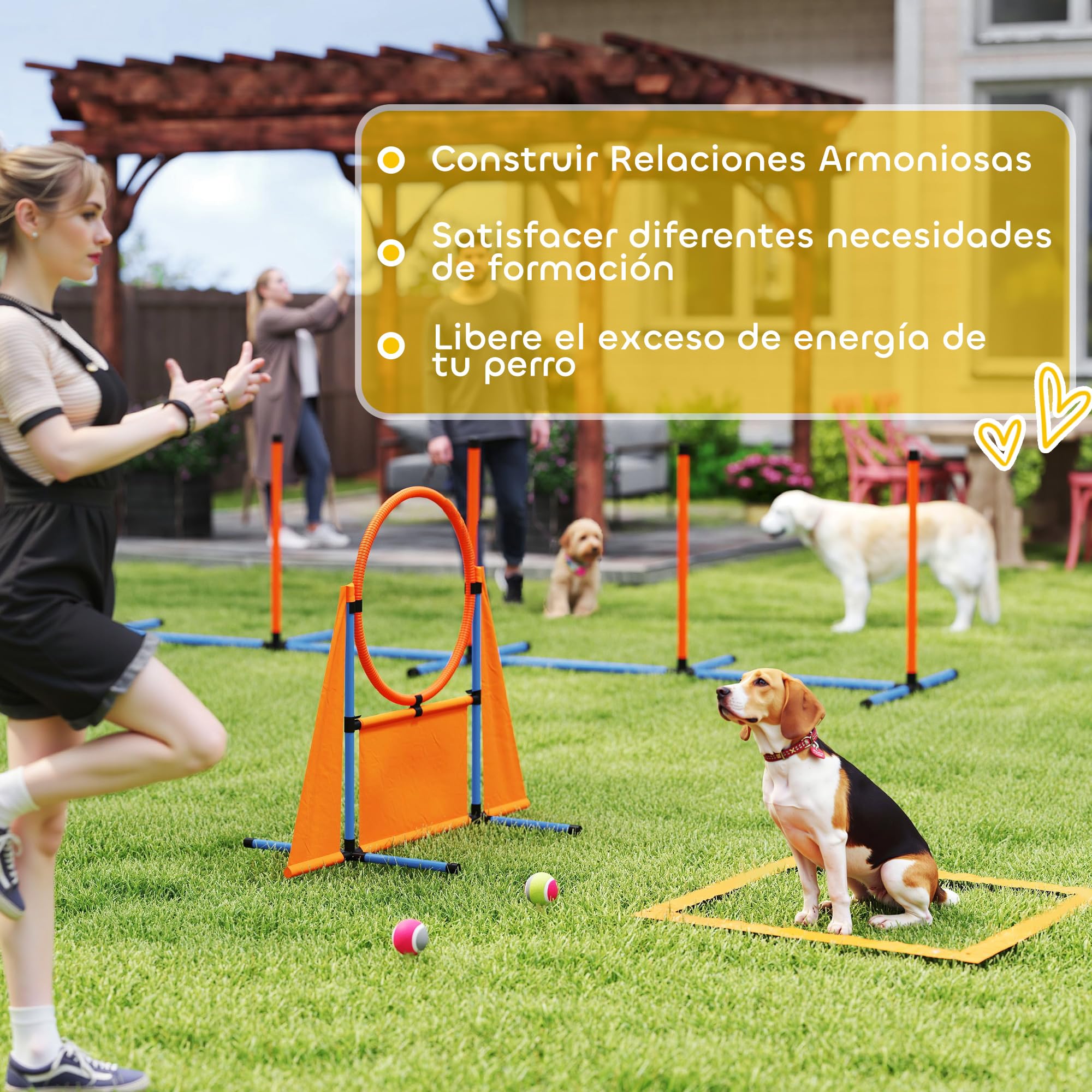 PawHut Set de Entrenamiento de Agilidad para Perros de 6 Piezas, Juego de Agilidad para Perros con Piquetes para Slalom, Valla, Zona de Reposo, Pelotas, Anillo de Salto, Naranja