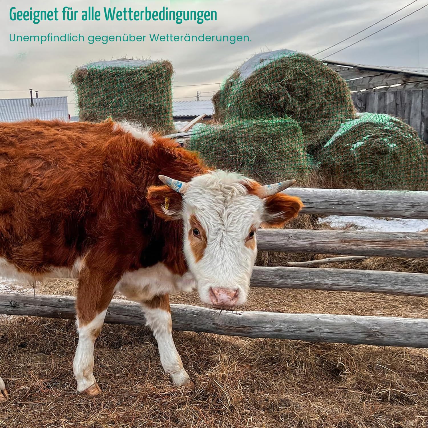 Heunetz für Rundballen, ø 180 cm Heunetz für Pferde Rundballen, Maschenweite 4,5 x 4,5cm, Engmaschiges Futternetz für Pferde Verlängerung der Fresszeiten (Grün, ø 180cm)