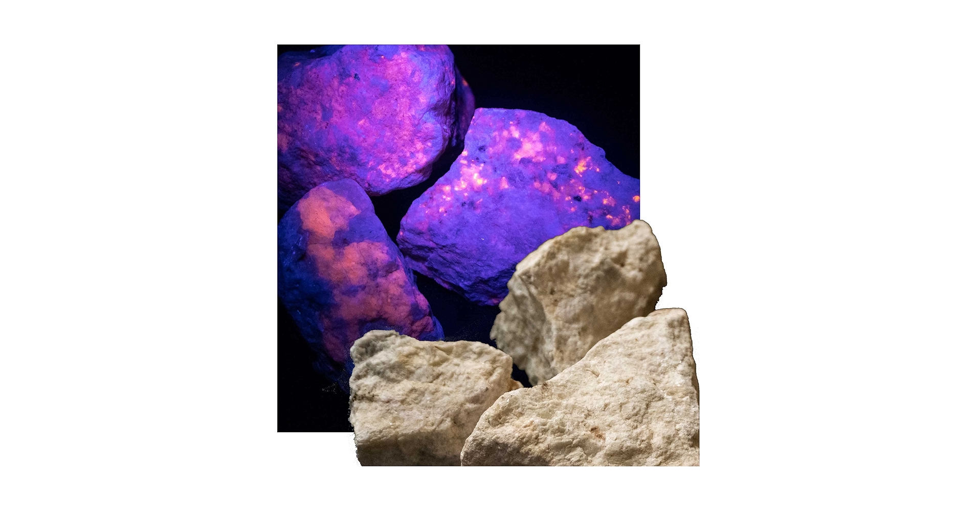 Amazon | SCIENCE ミニ鉱物標本 蛍光鉱物「ハックマン石