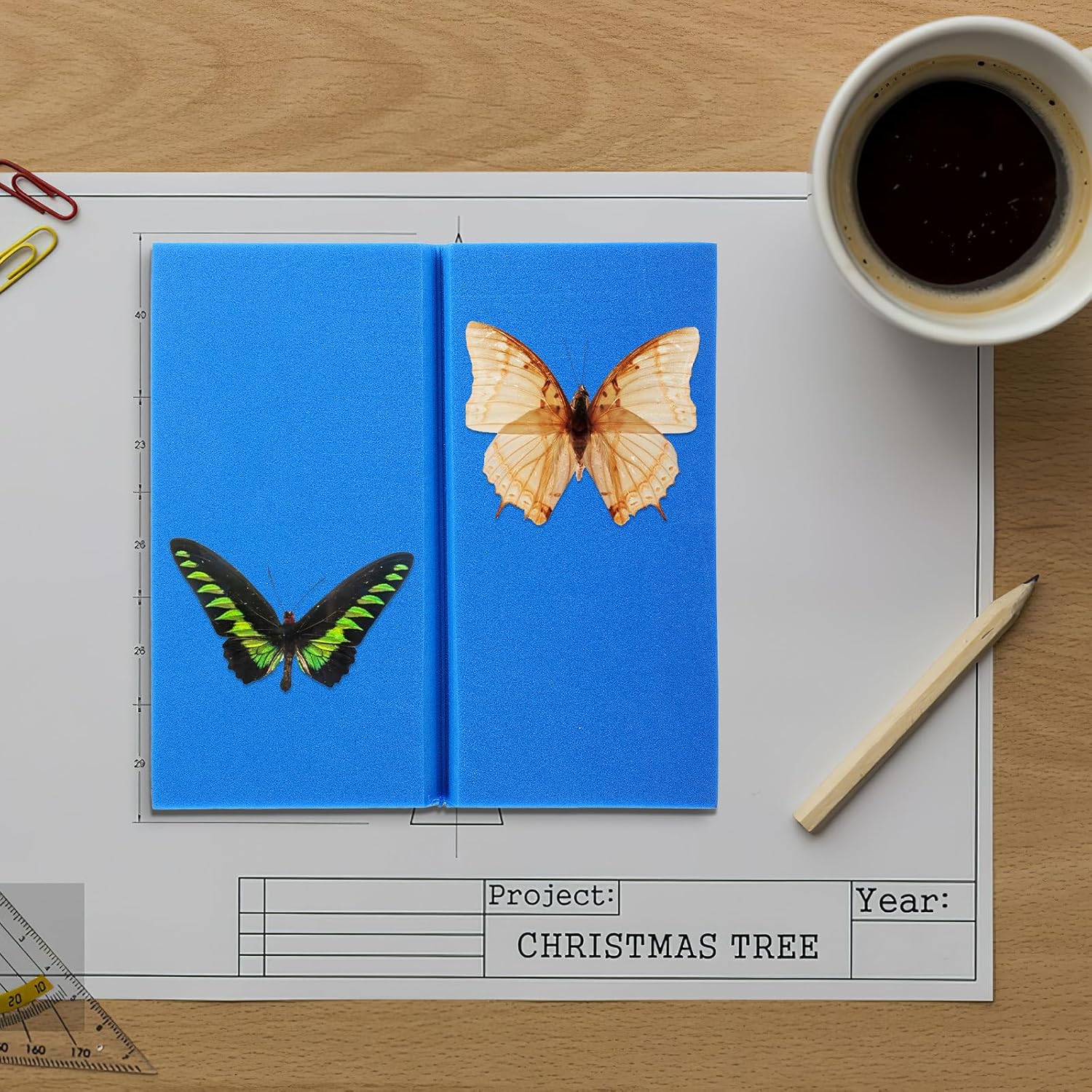 Butterfly Specimen Spreading Board 14x14x2cm High-Density Eva Foam Insect Pinning Display Tool for Entomology Collection and Science Education