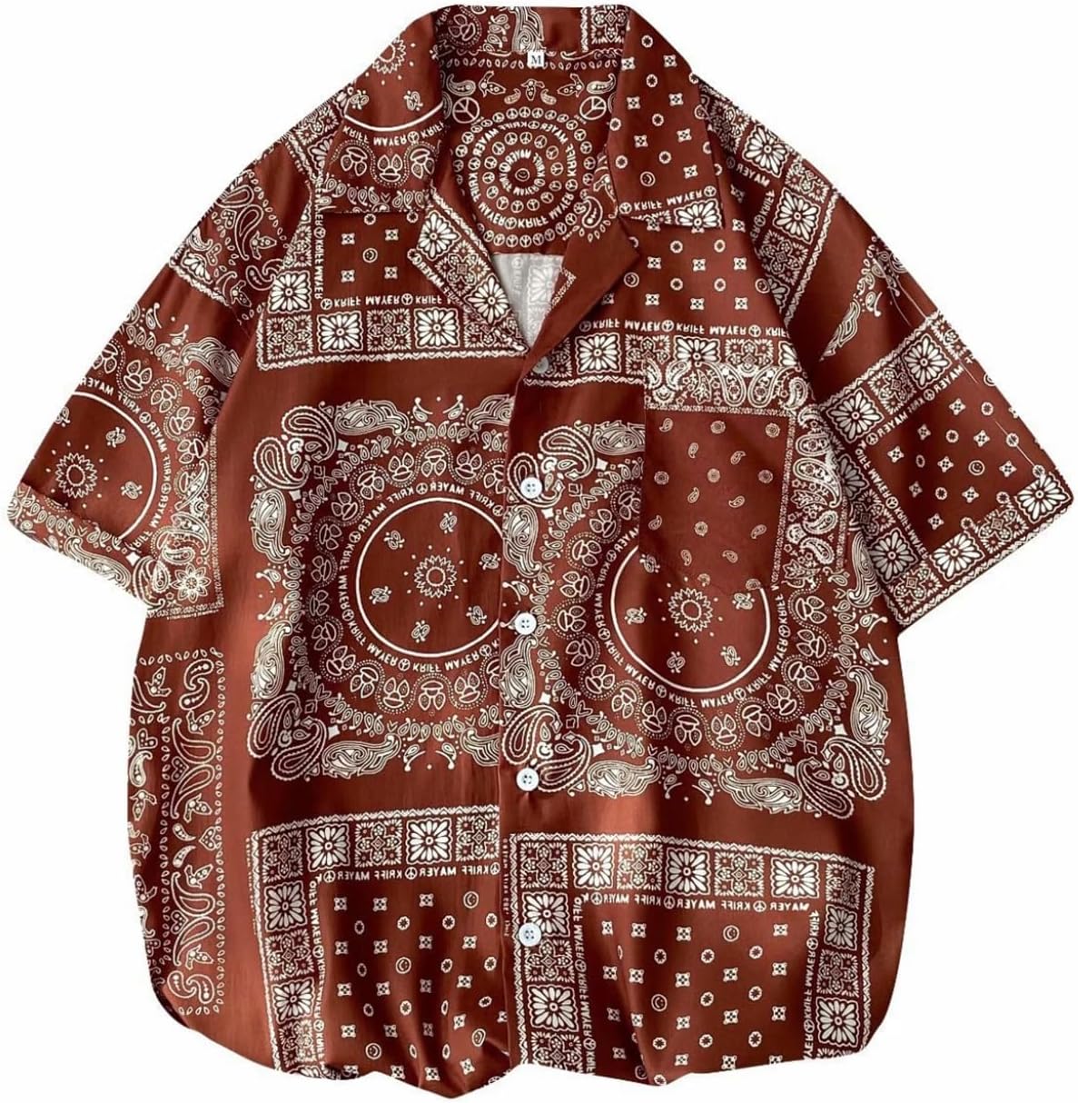 大島紬と、長襦袢セット 大島紬 ➕長襦袢染め大島 付け下げ かっこいい